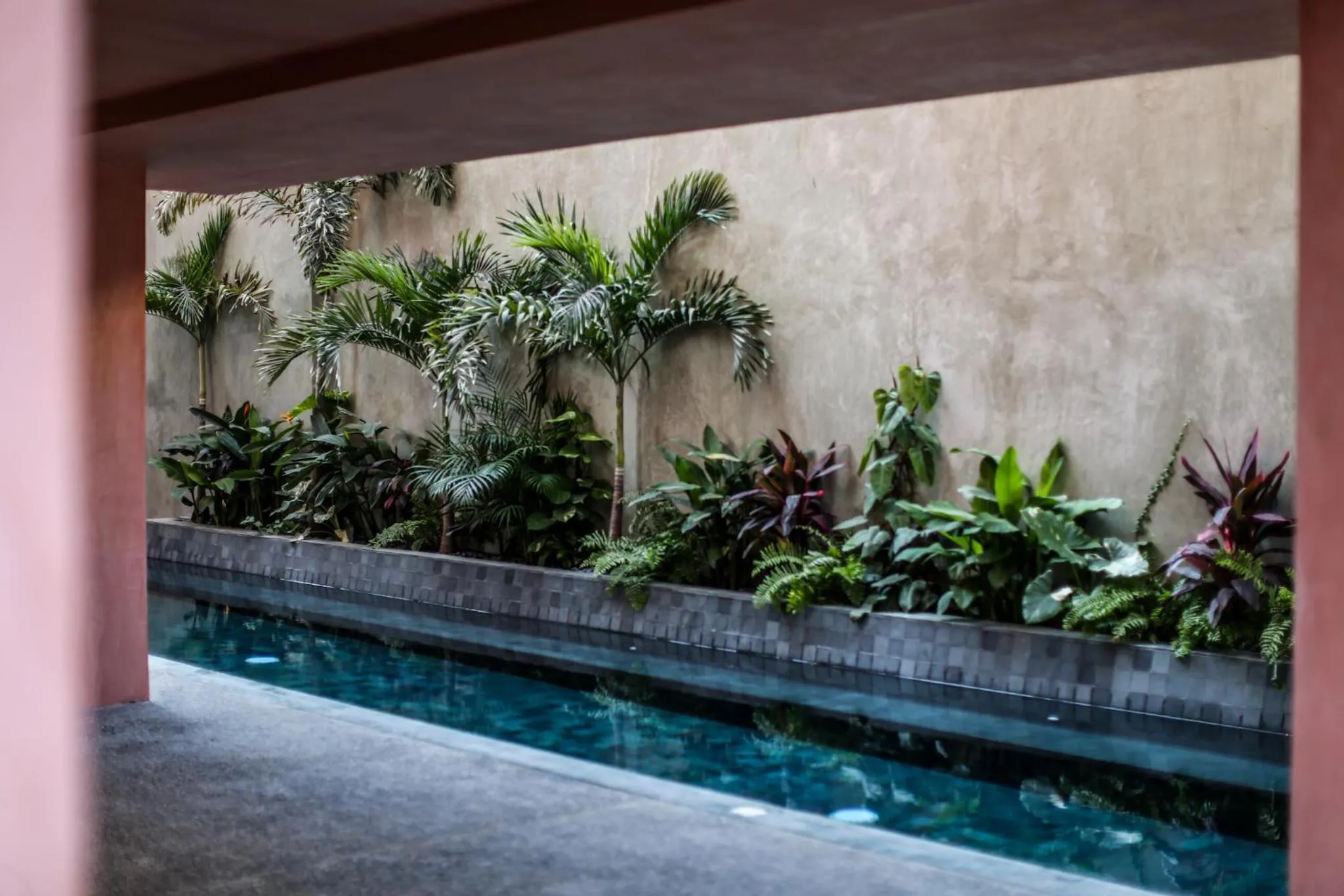 Garden view in Casa Toro La Punta