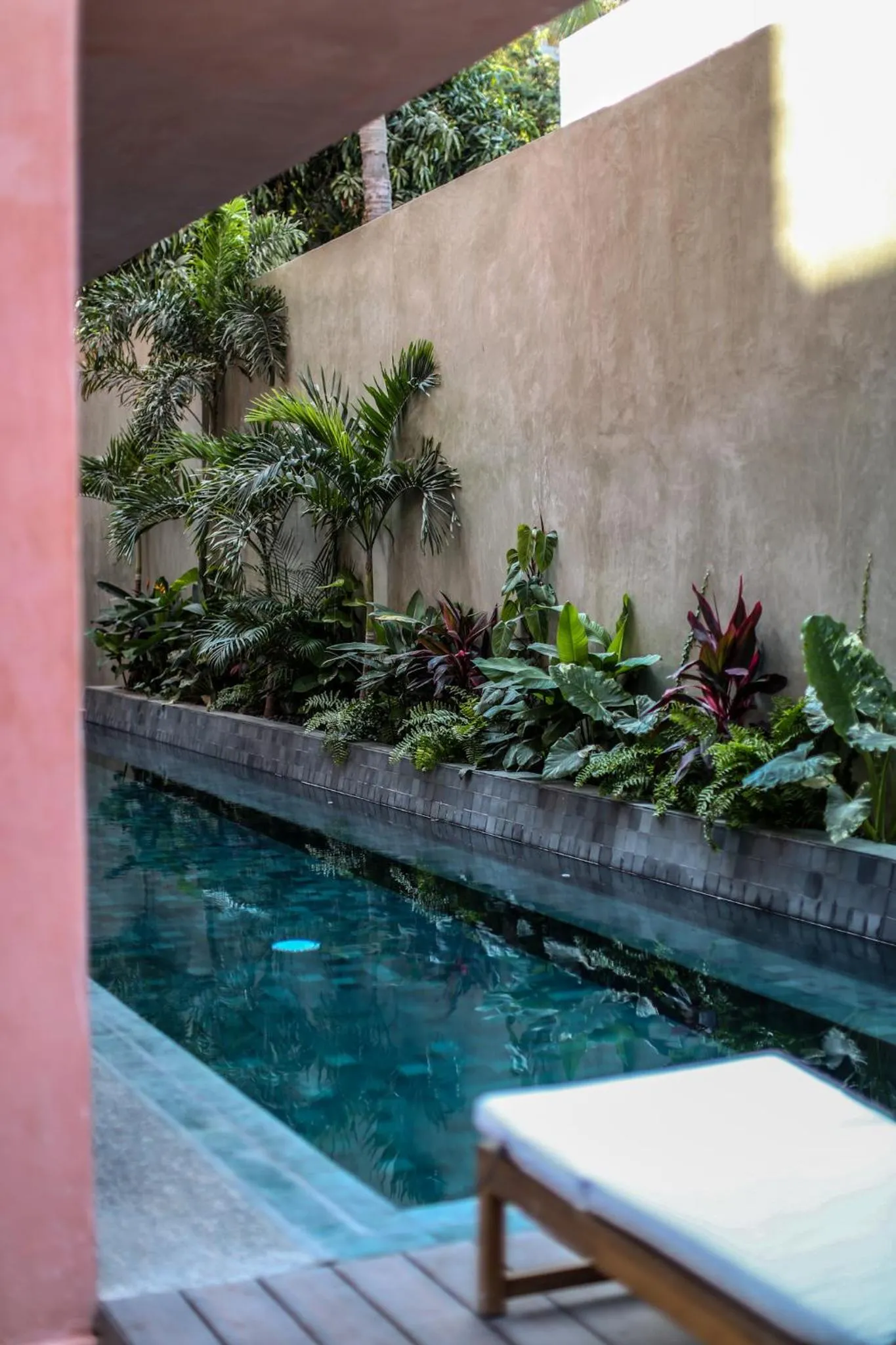 Garden view in Casa Toro La Punta