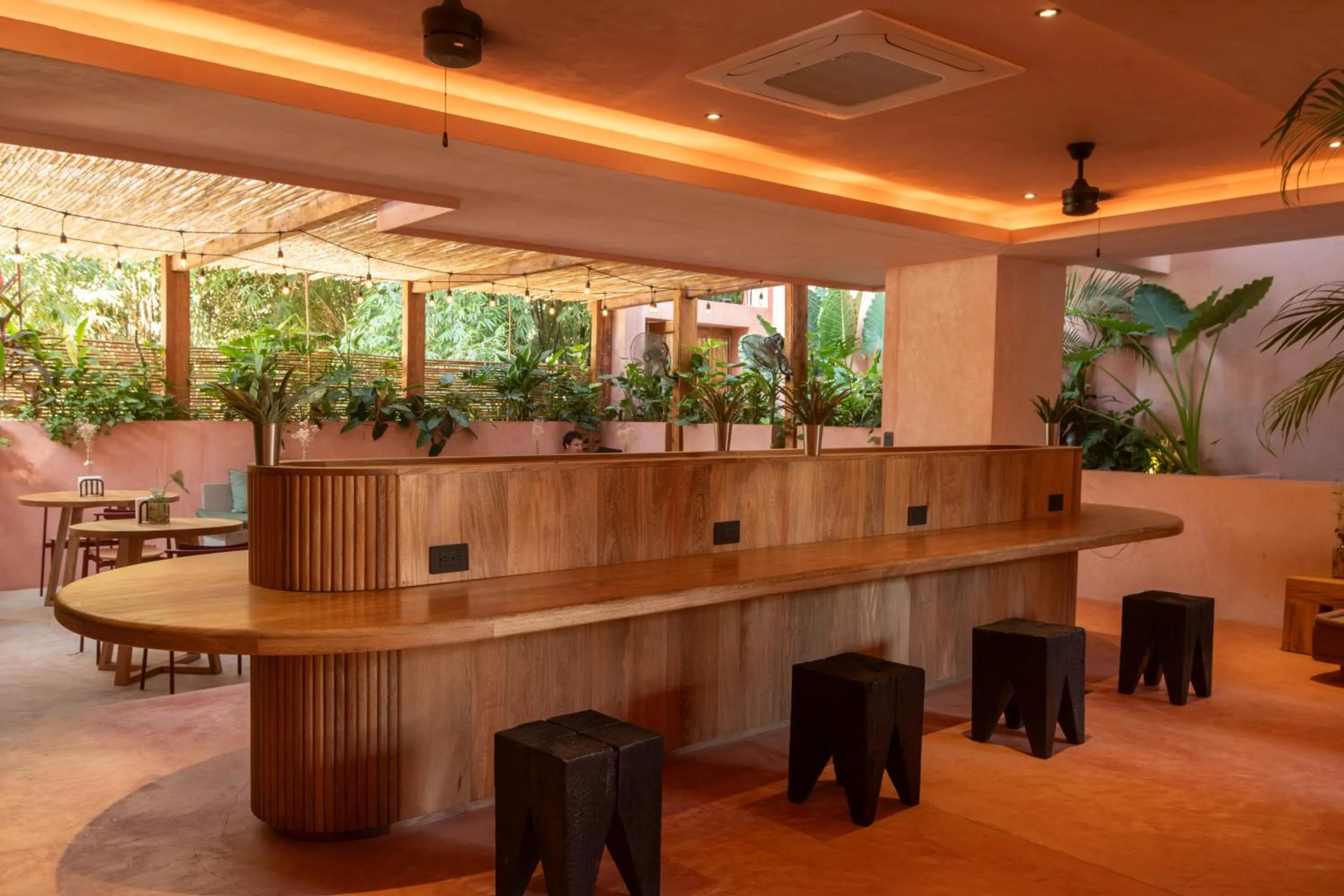 Restaurant/places to eat in Casa Toro La Punta