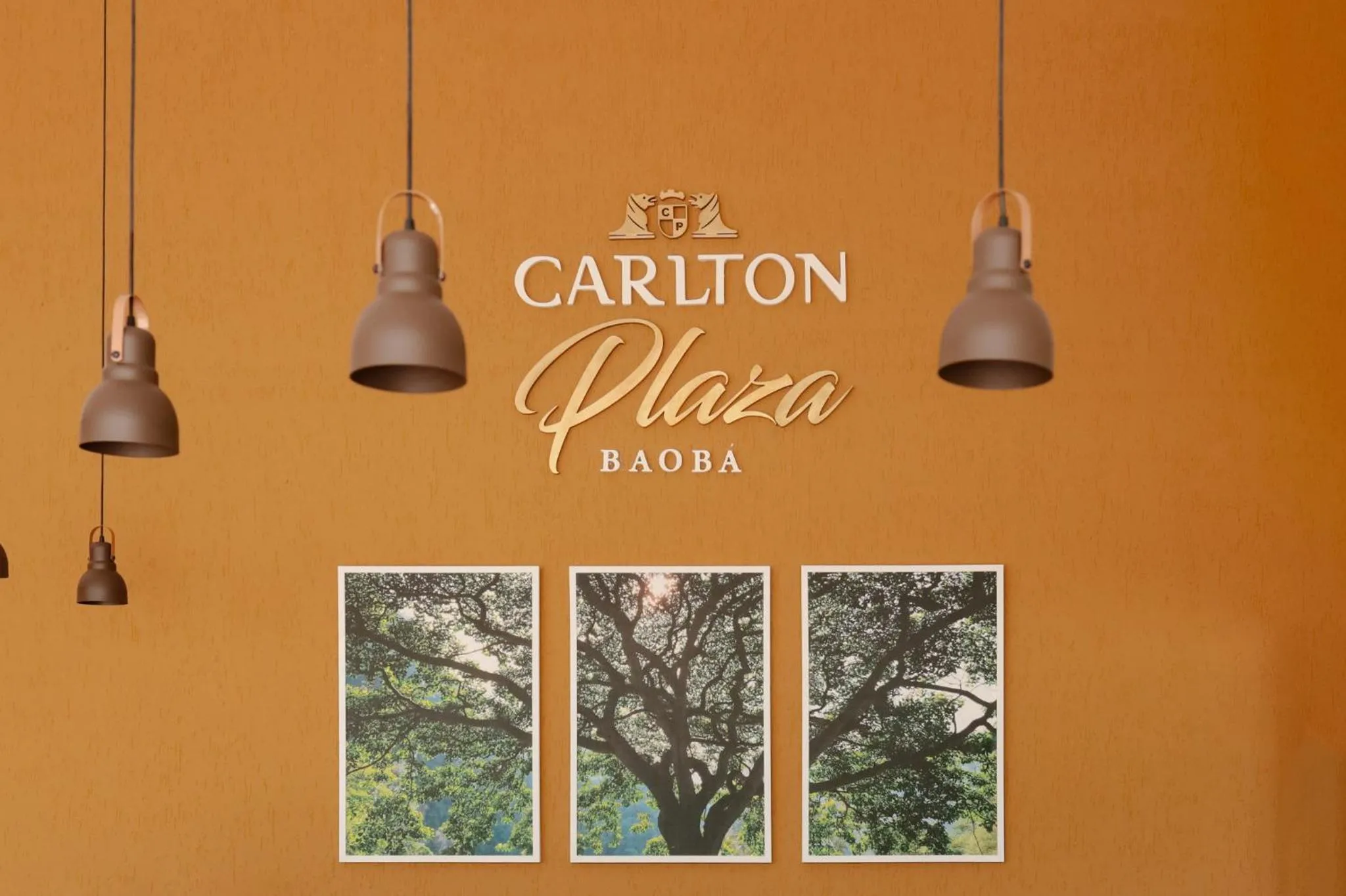 Lounge or bar in Carlton Plaza Baobá