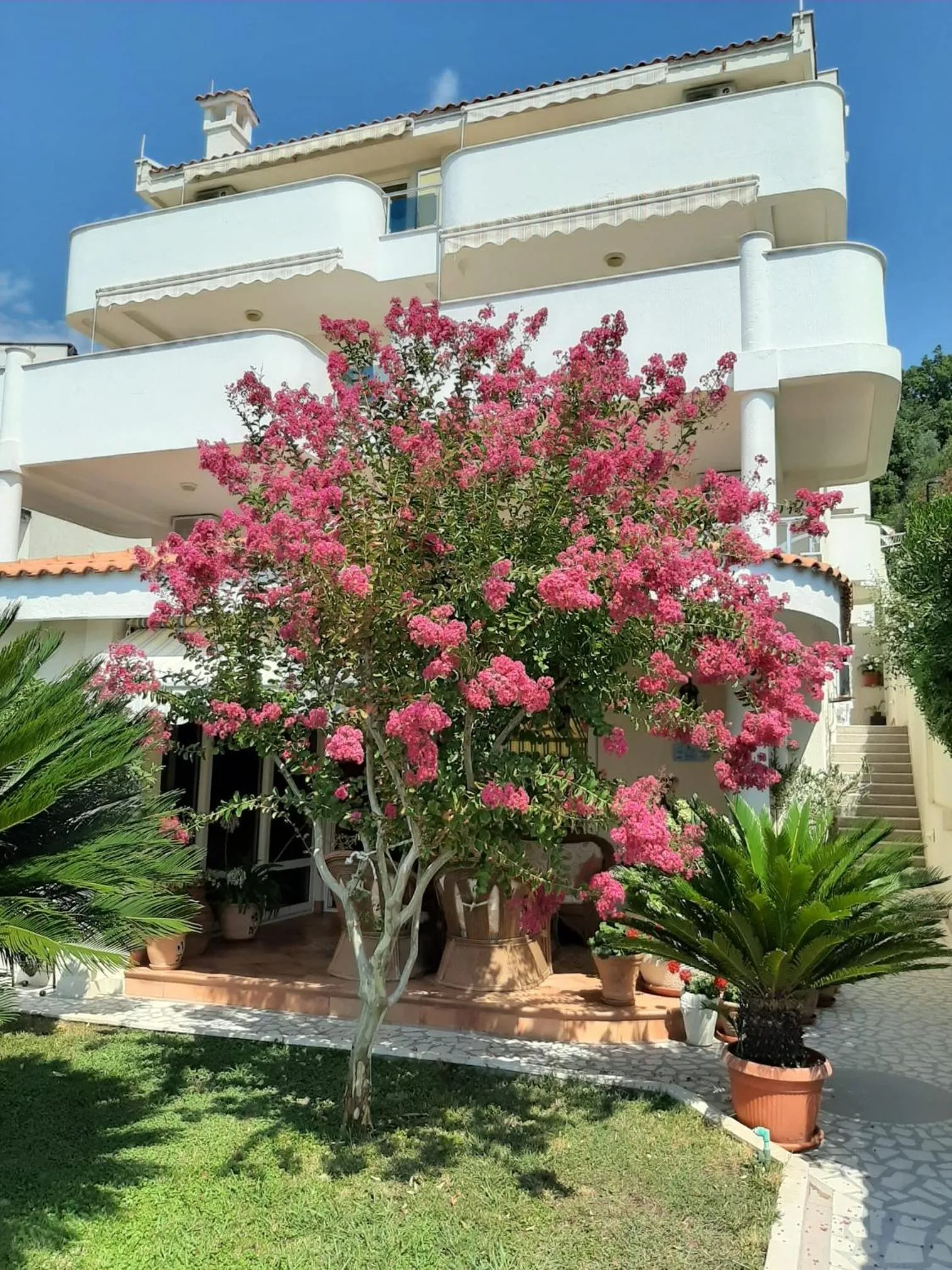 Apartments Villa Mare Mar