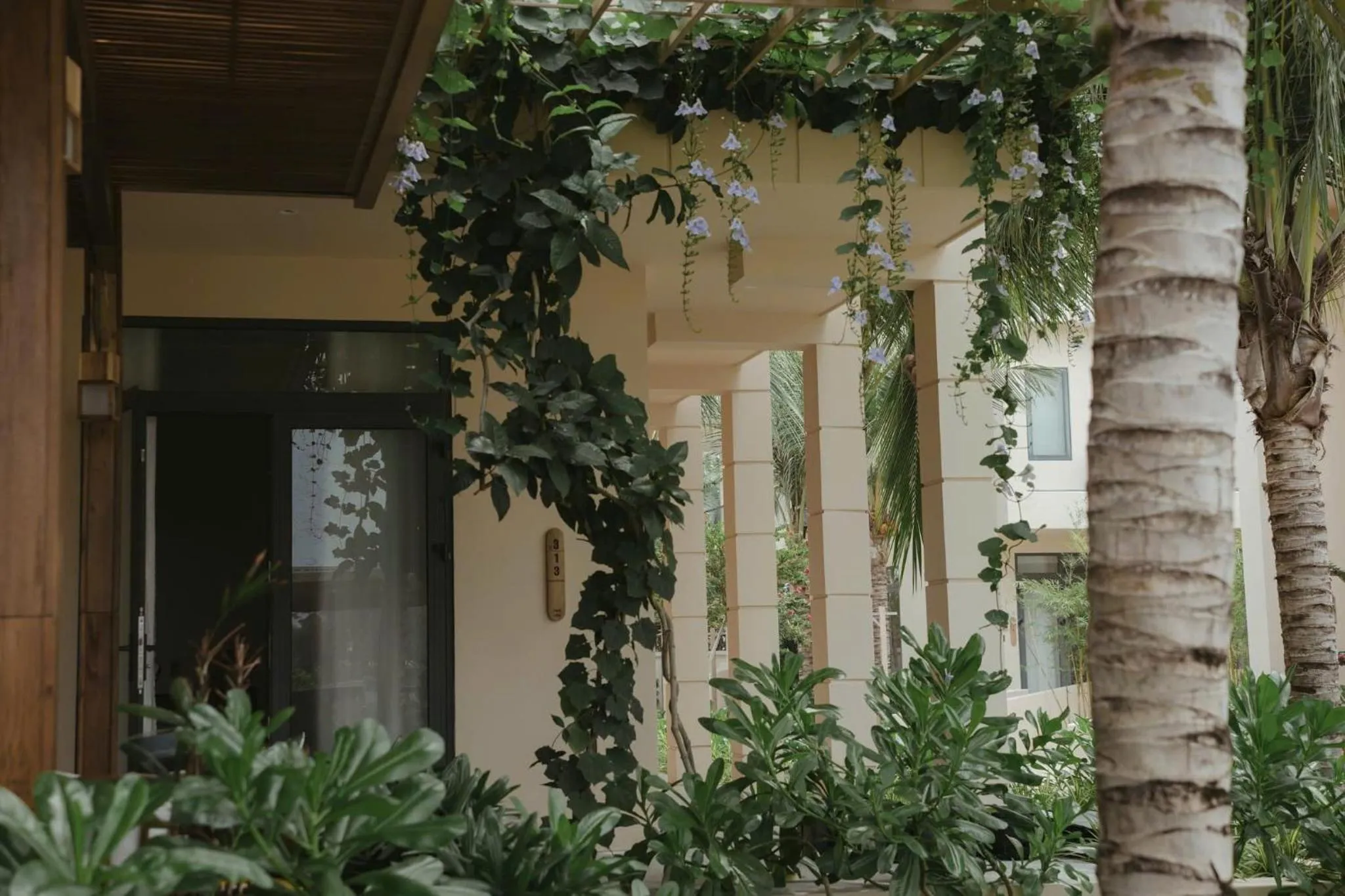 Garden in Field Villa Hoàng Diệu