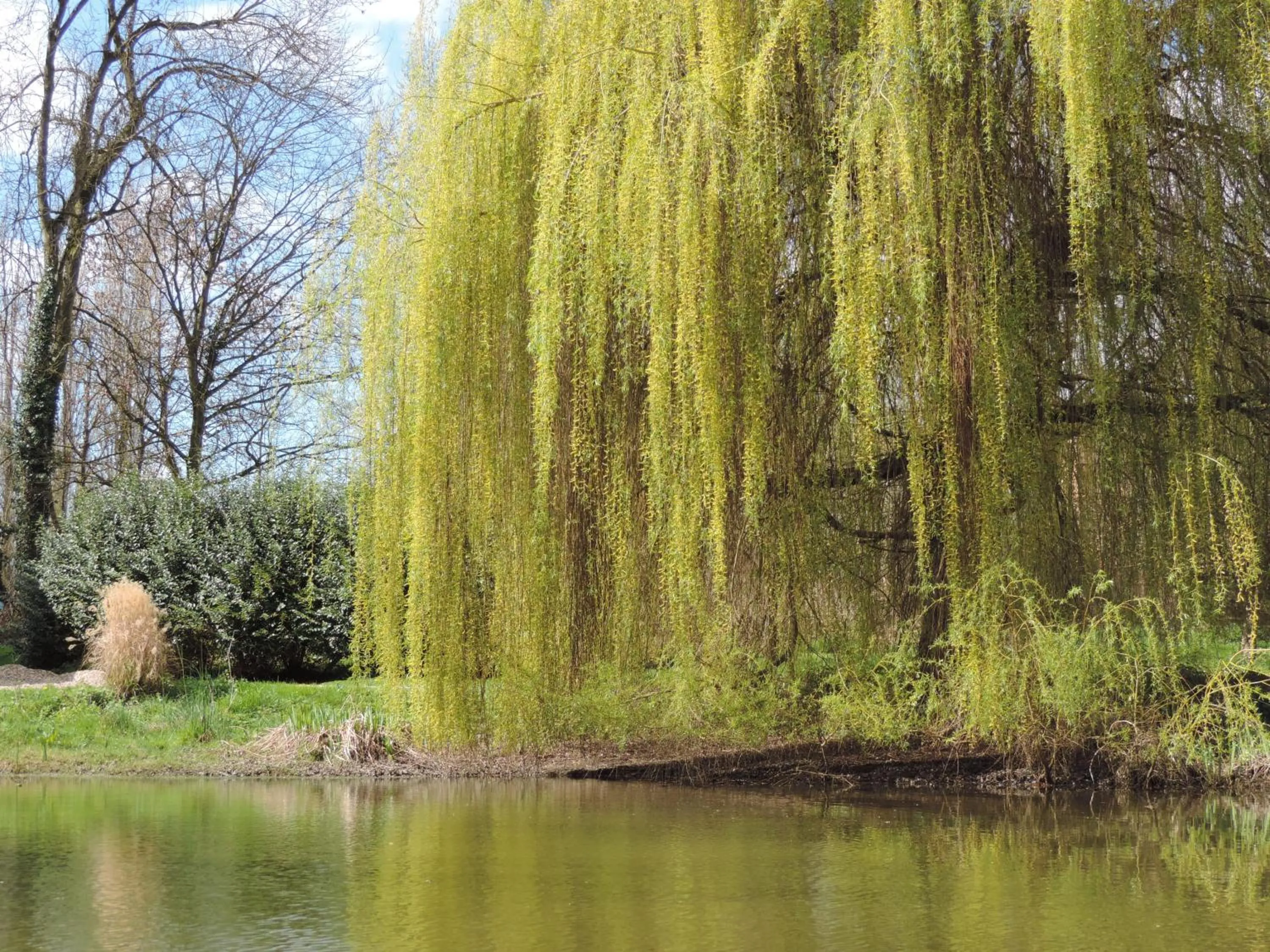 Chambres d'Hôtes de la Bucaille