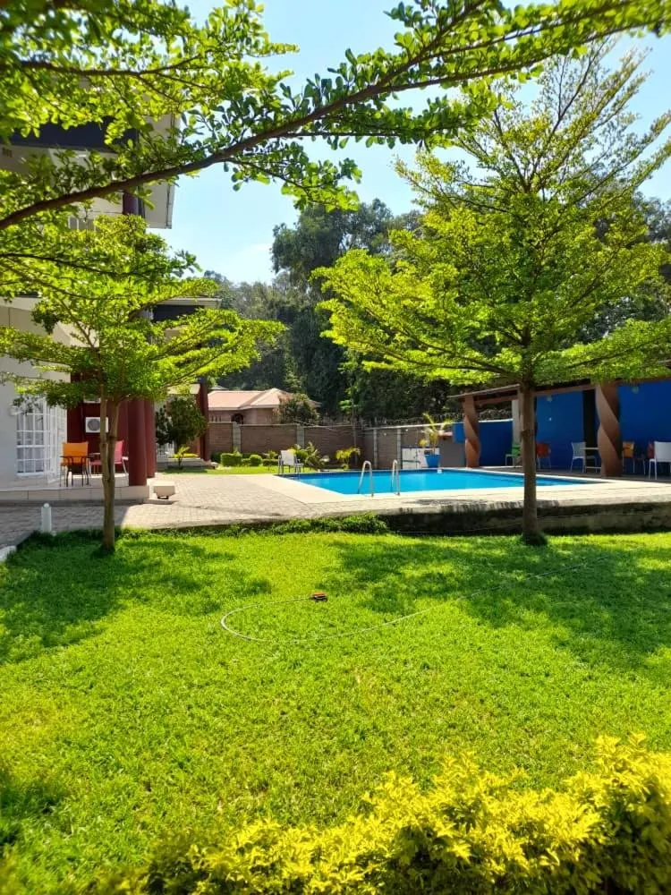 Pool view in Top Lodge in Blantyre