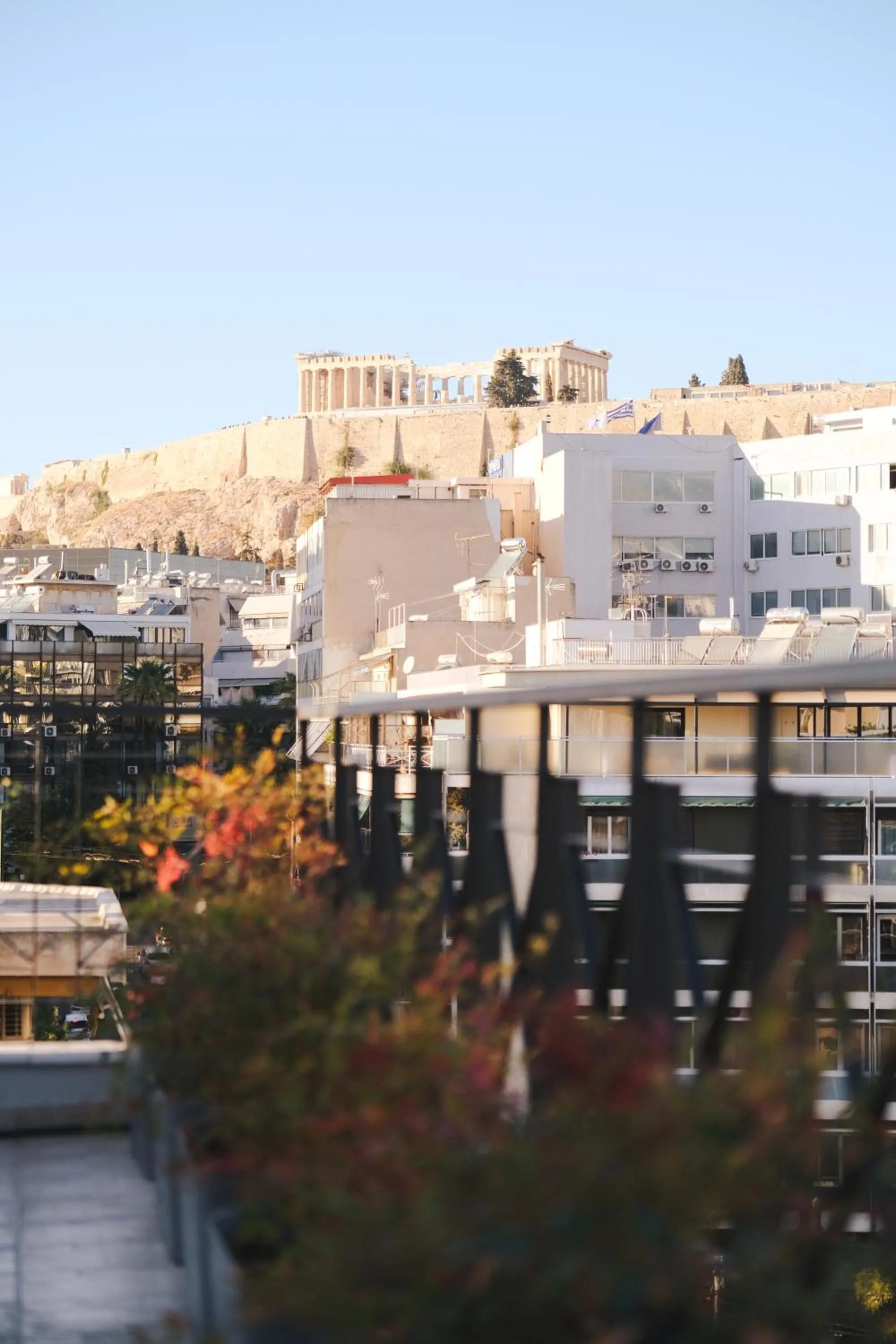 View (from property/room) in Tyto Alba Habitat