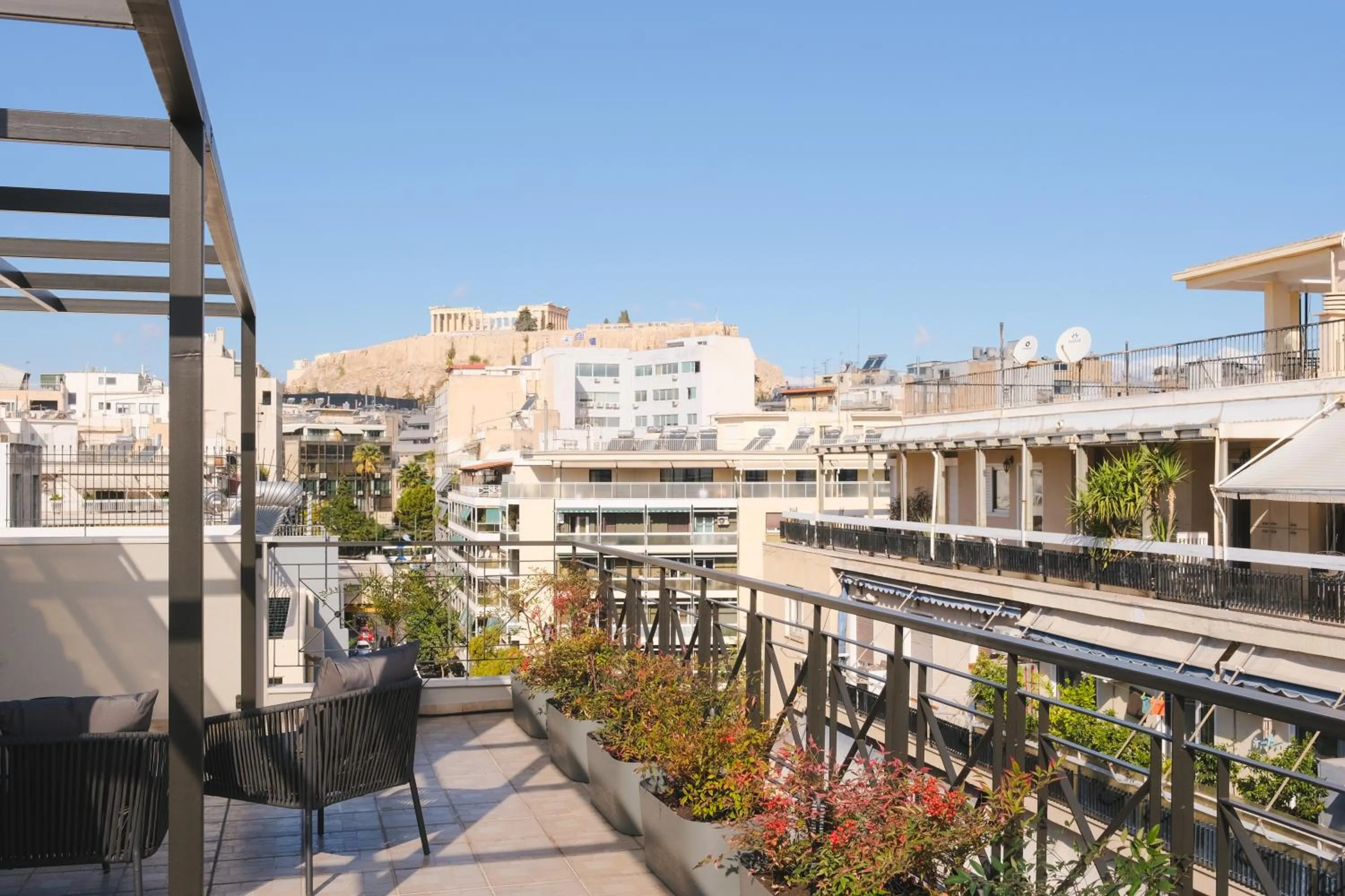 Day in Tyto Alba Habitat