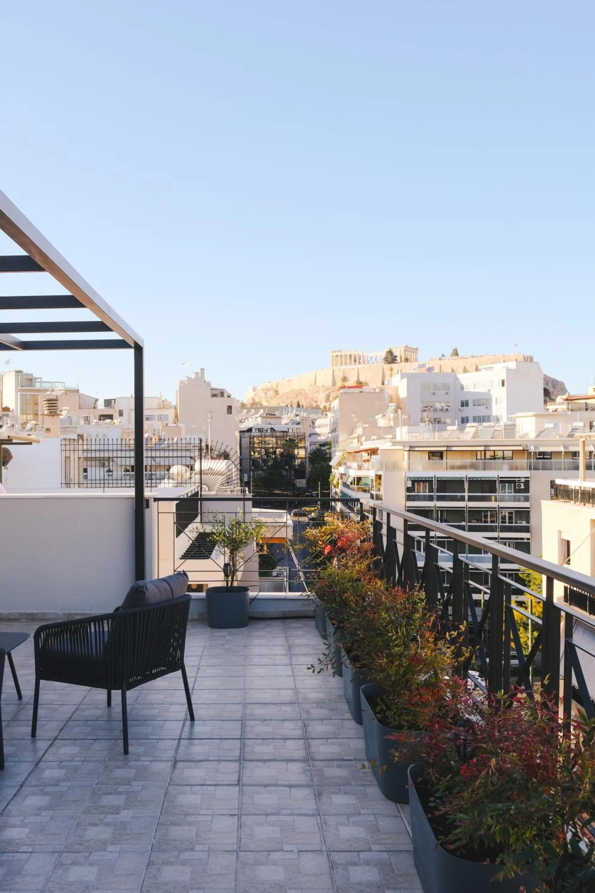 Day in Tyto Alba Habitat