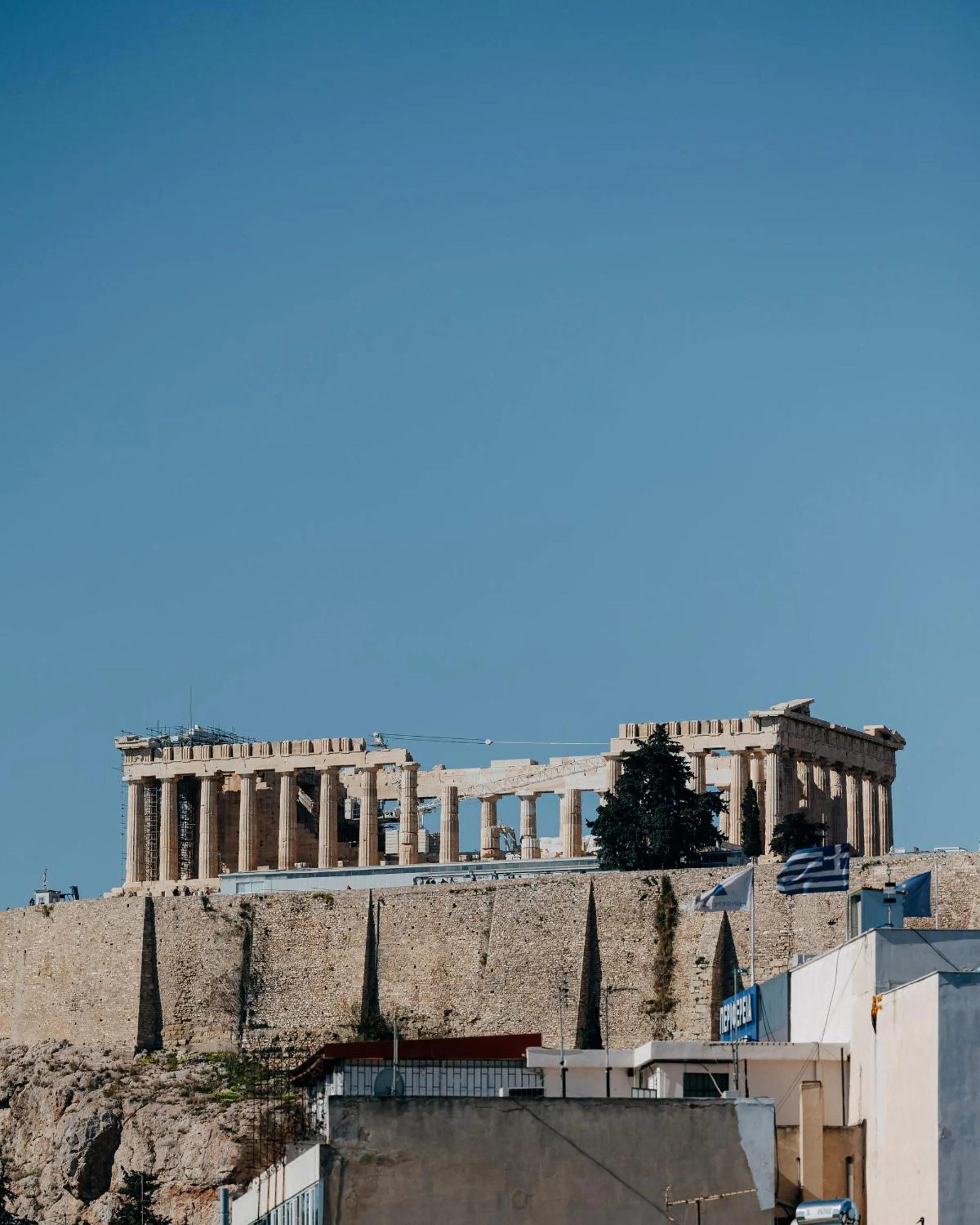 View (from property/room) in Tyto Alba Habitat
