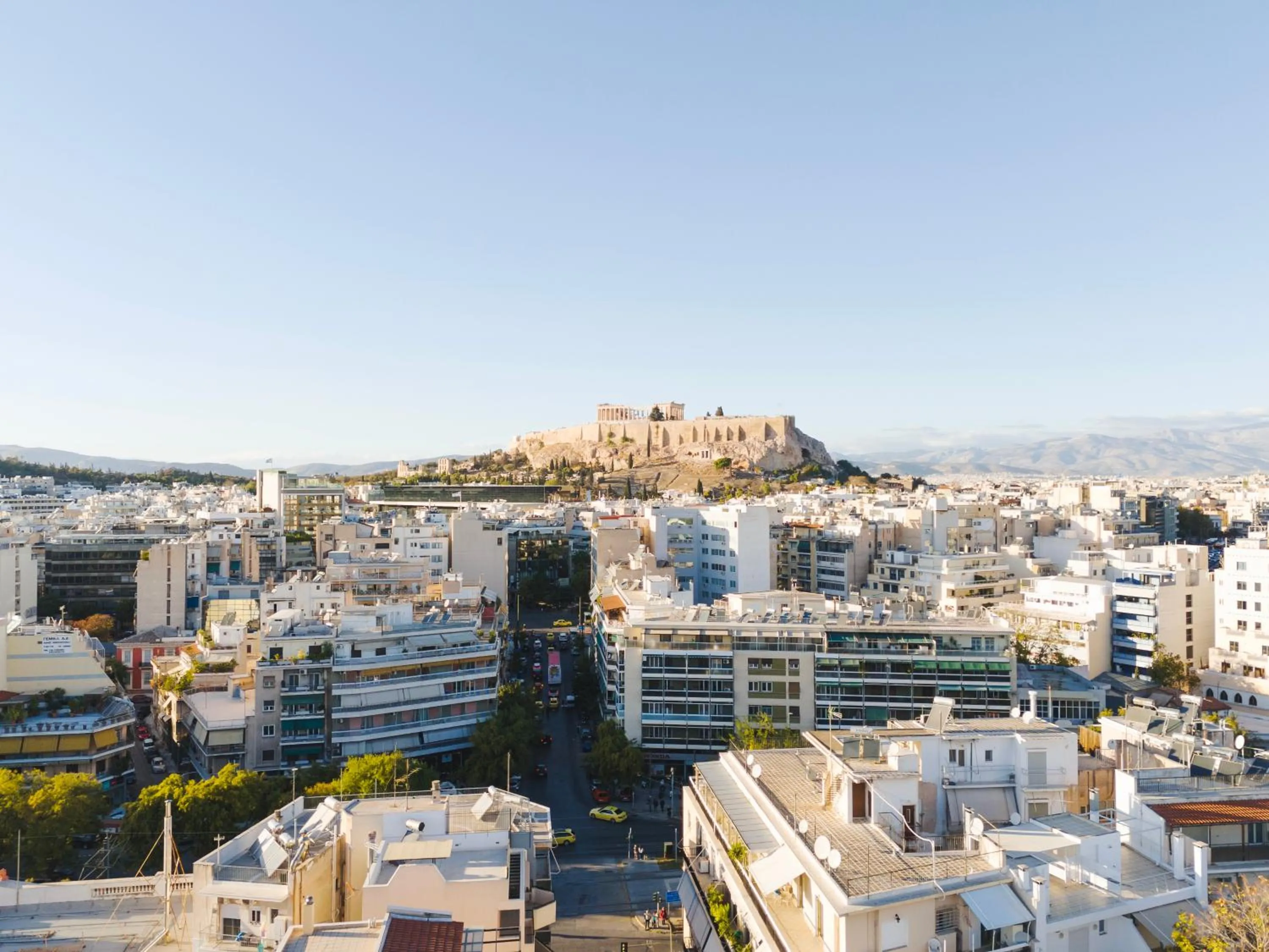 Property building in Tyto Alba Habitat