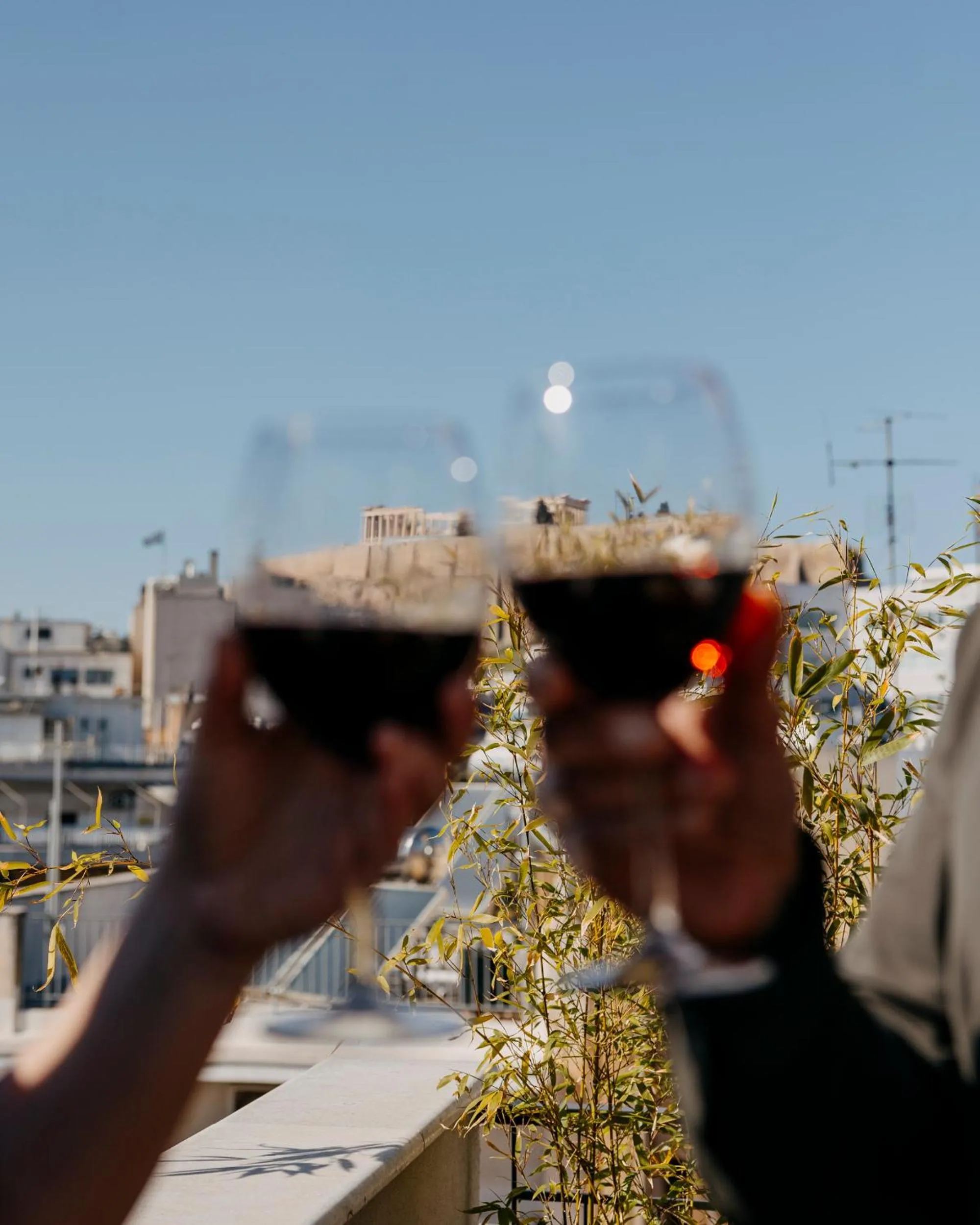 View (from property/room) in Tyto Alba Habitat