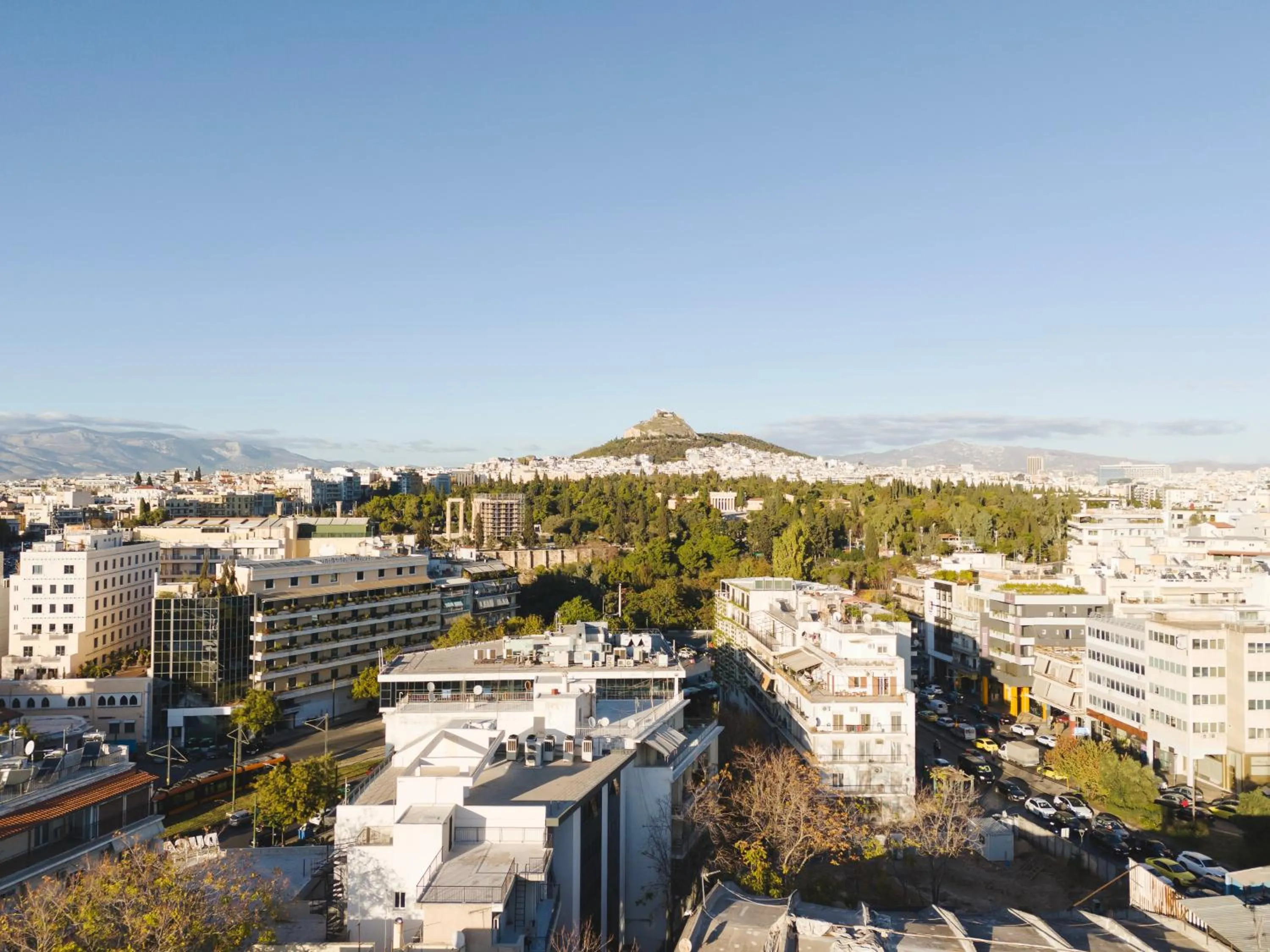 Property building in Tyto Alba Habitat