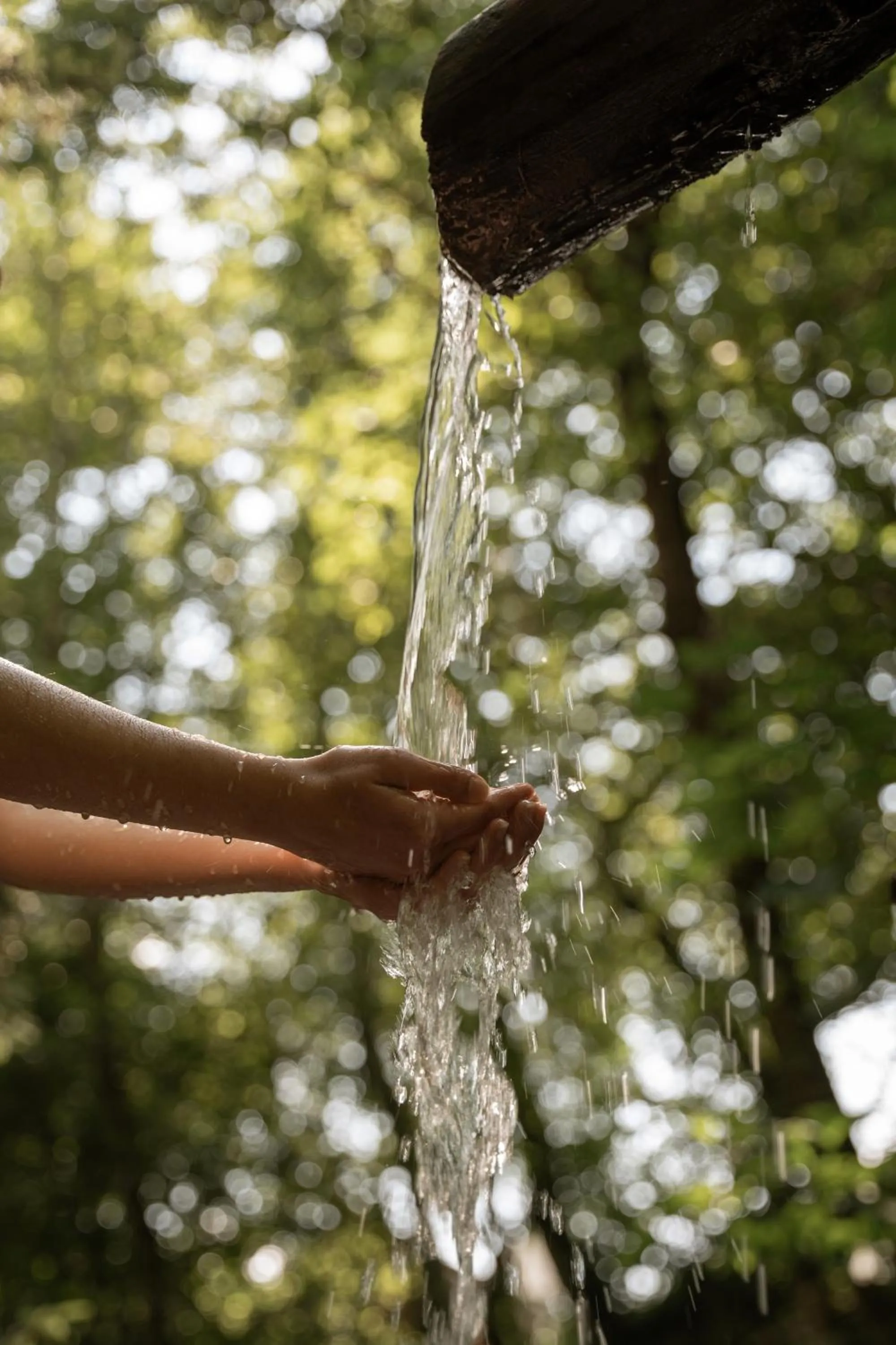 Naturhotel Lüsnerhof