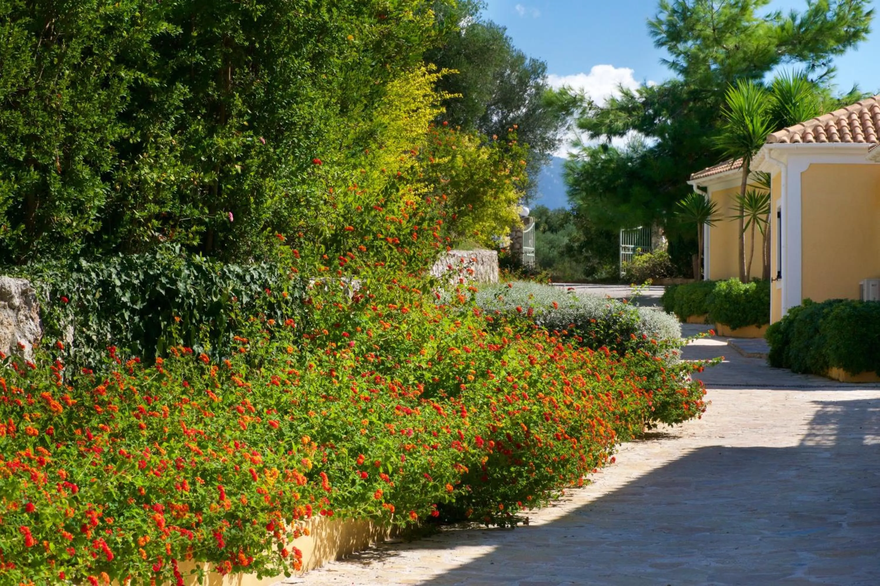 Property building in Villa Theodora