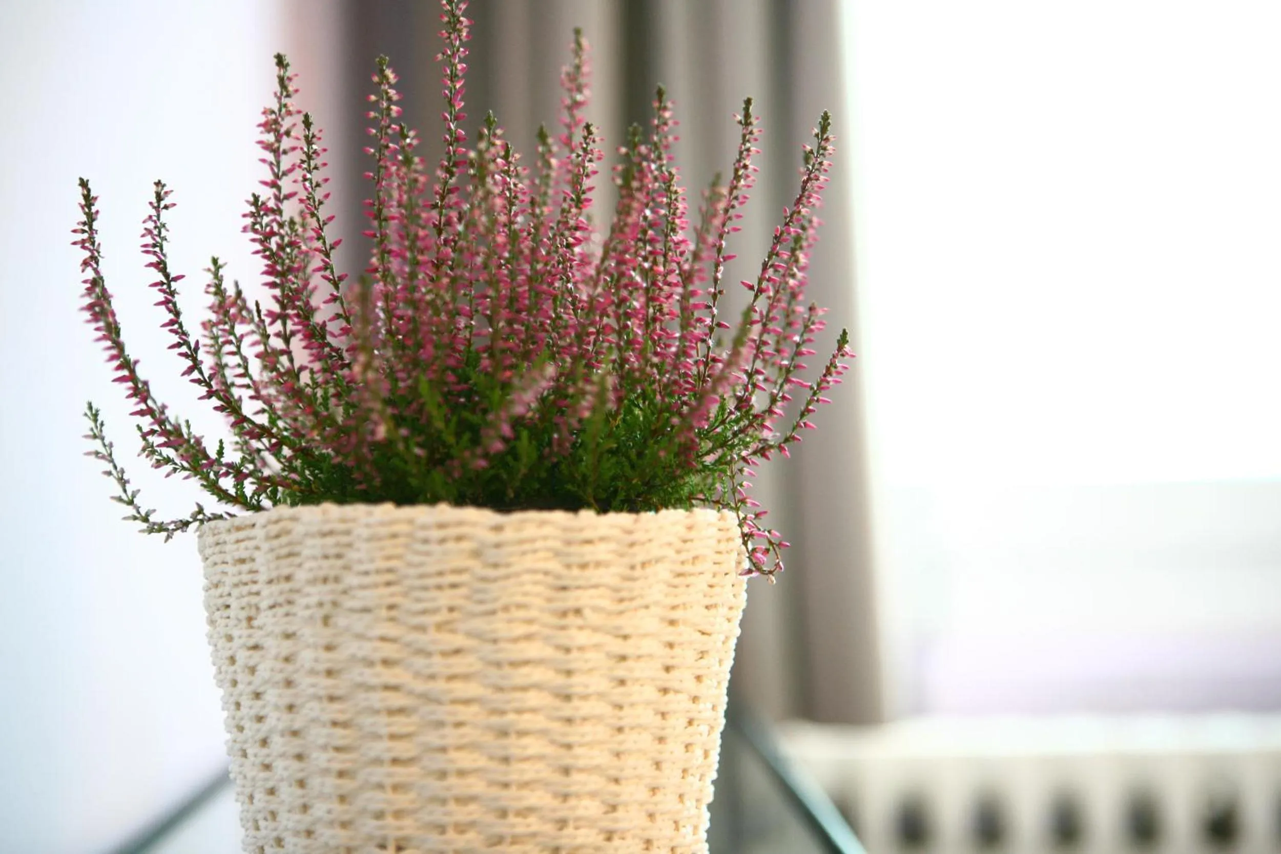 Decorative detail in Villa Camurana