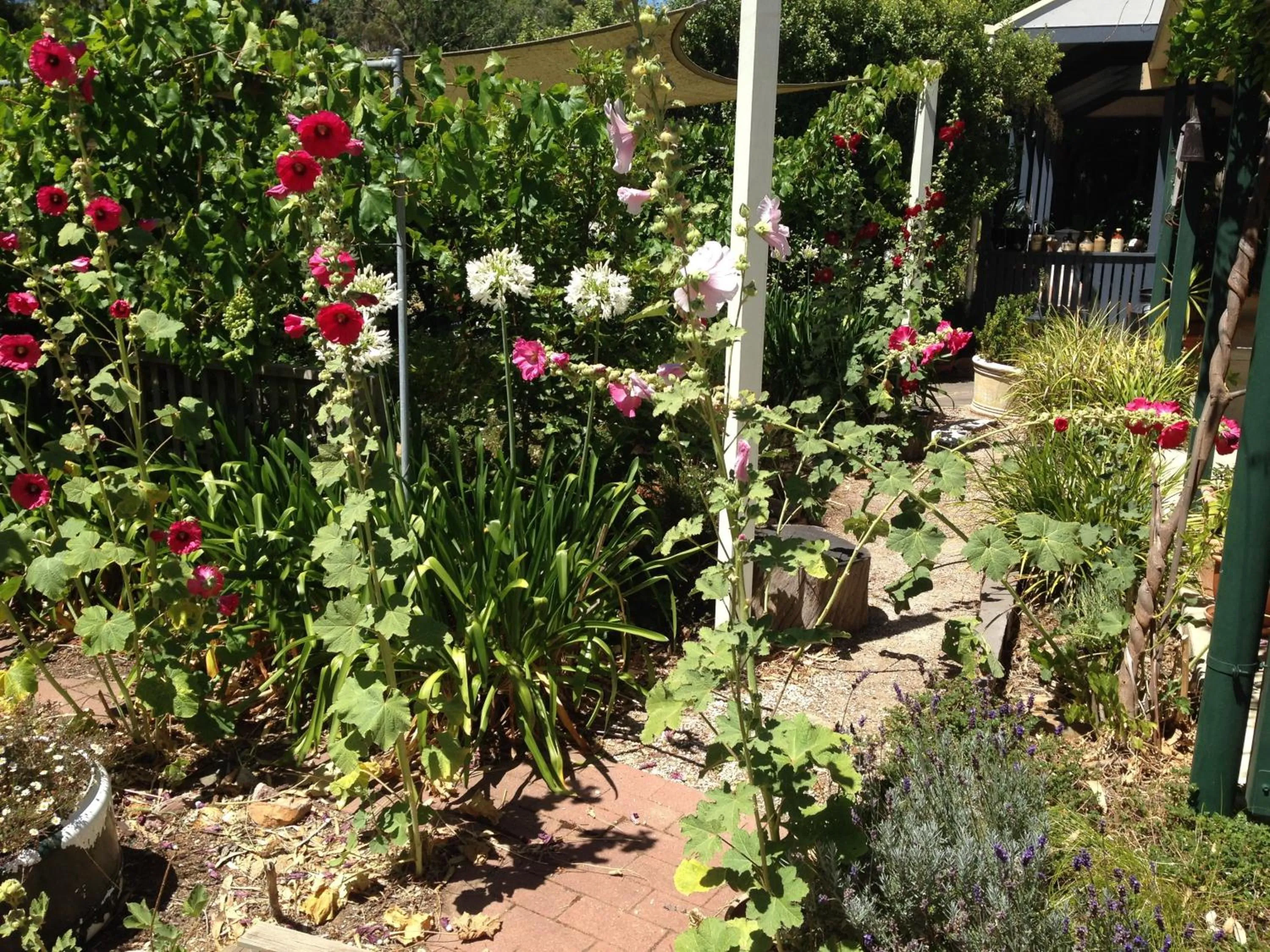Autumn in Clarevale Cottage B&B