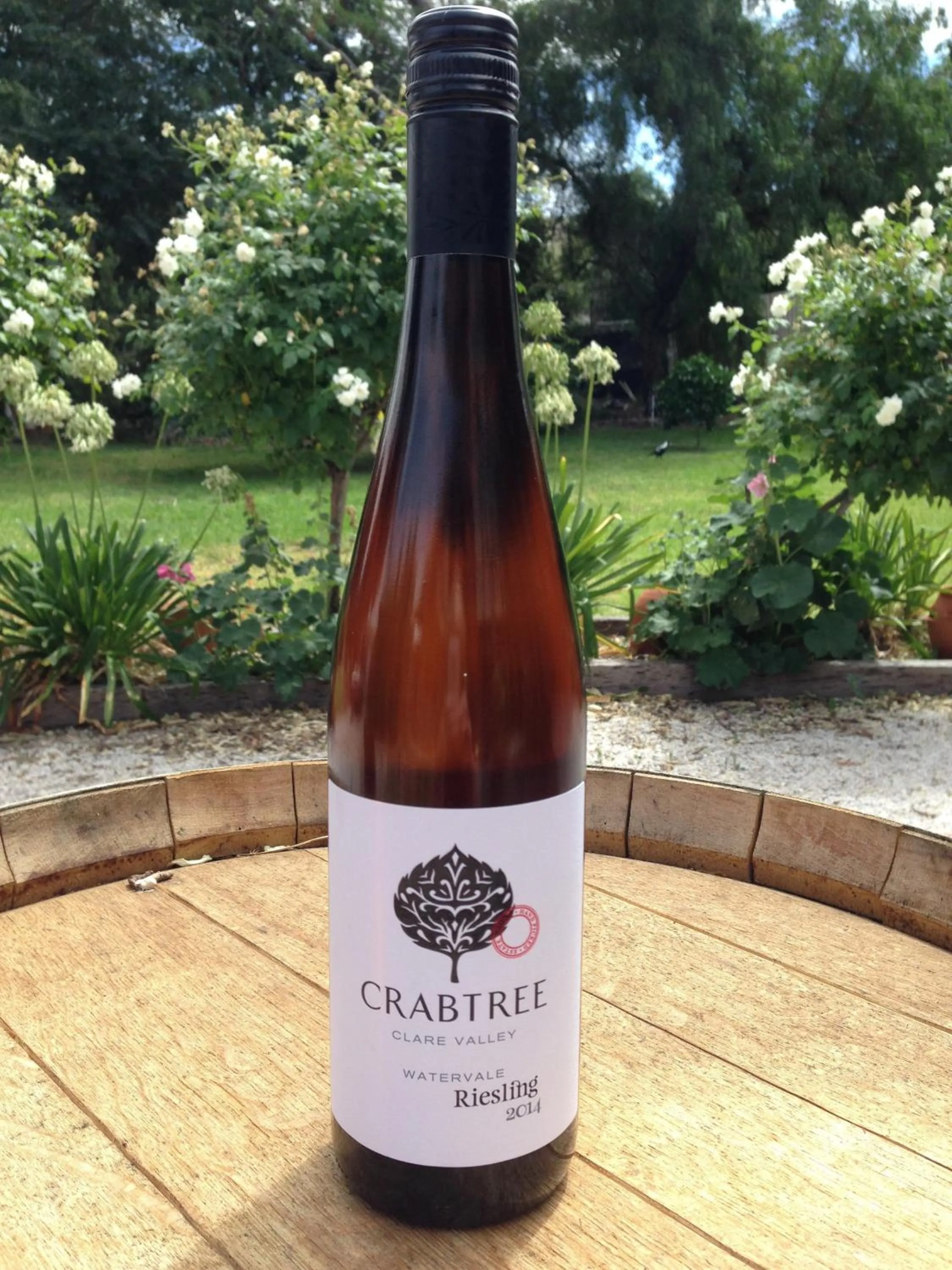 Garden in Clarevale Cottage B&B