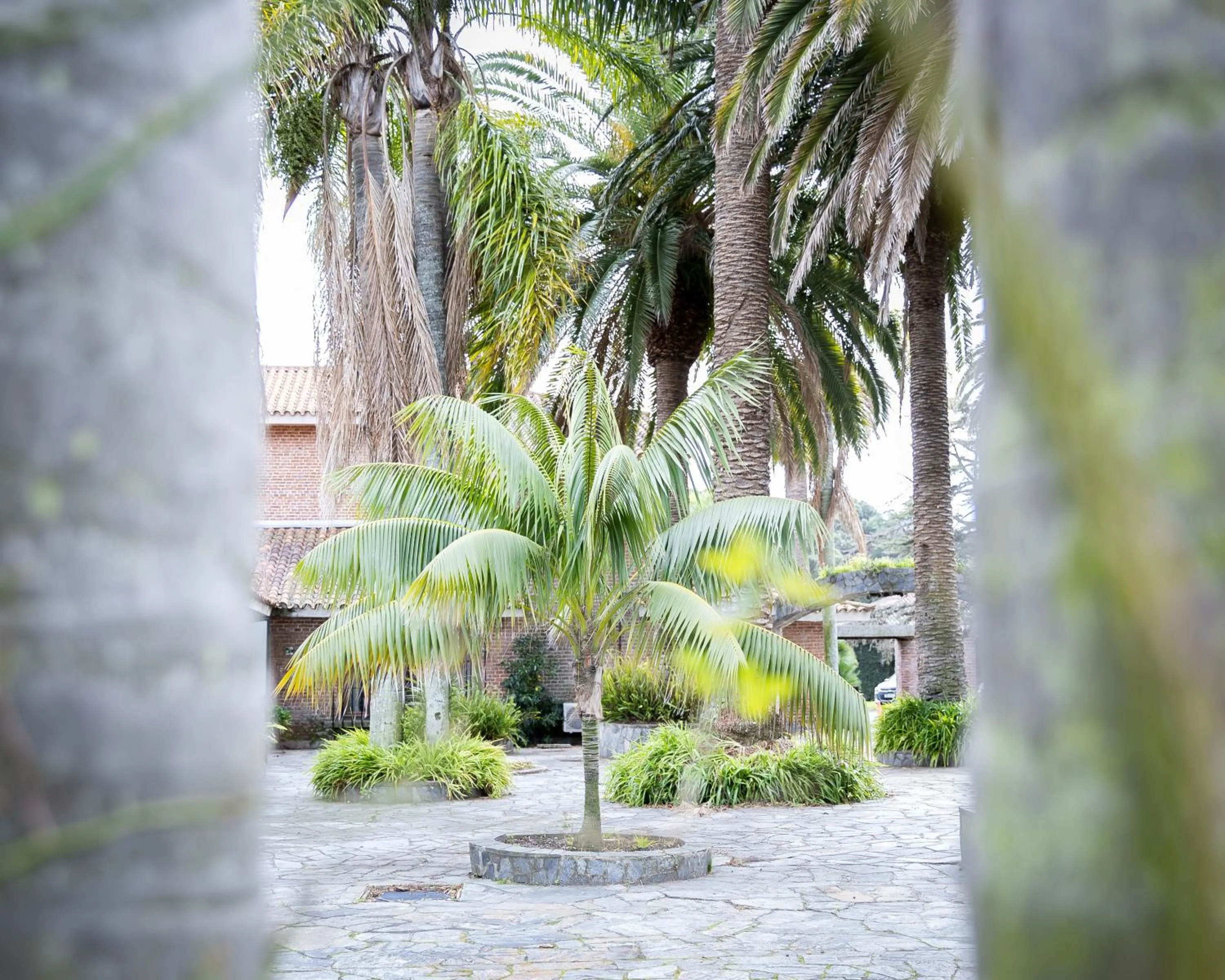Garden in La Baguala