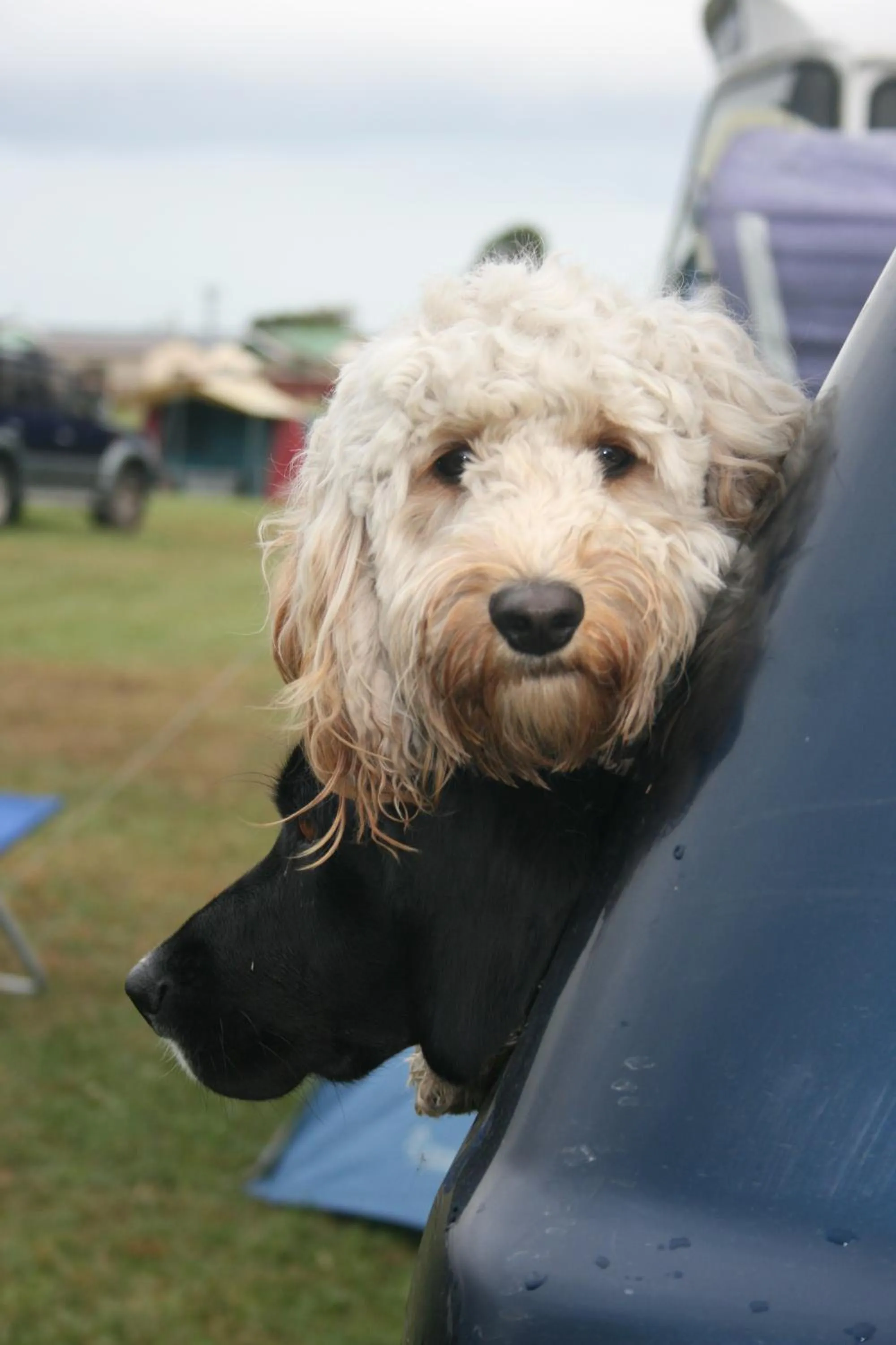 Other in Westport Kiwi Holiday Park & Motels