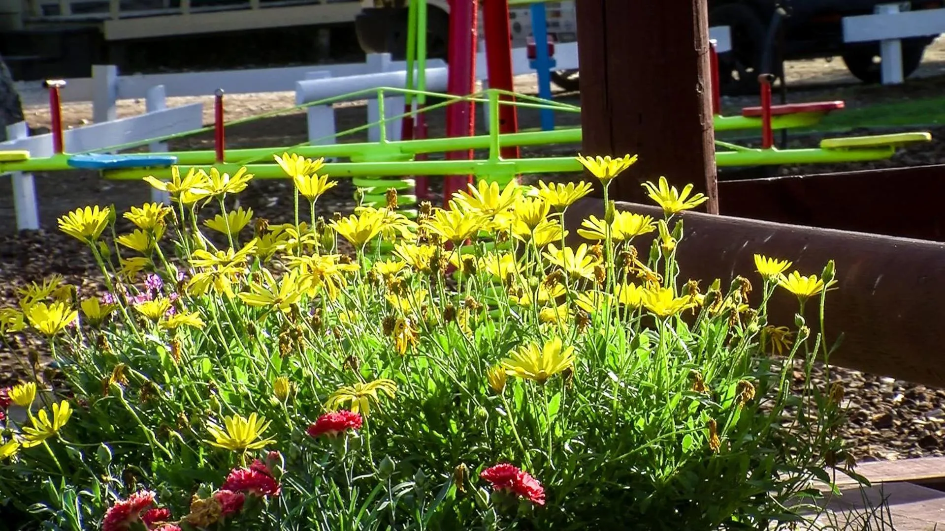 Other in Westport Kiwi Holiday Park & Motels