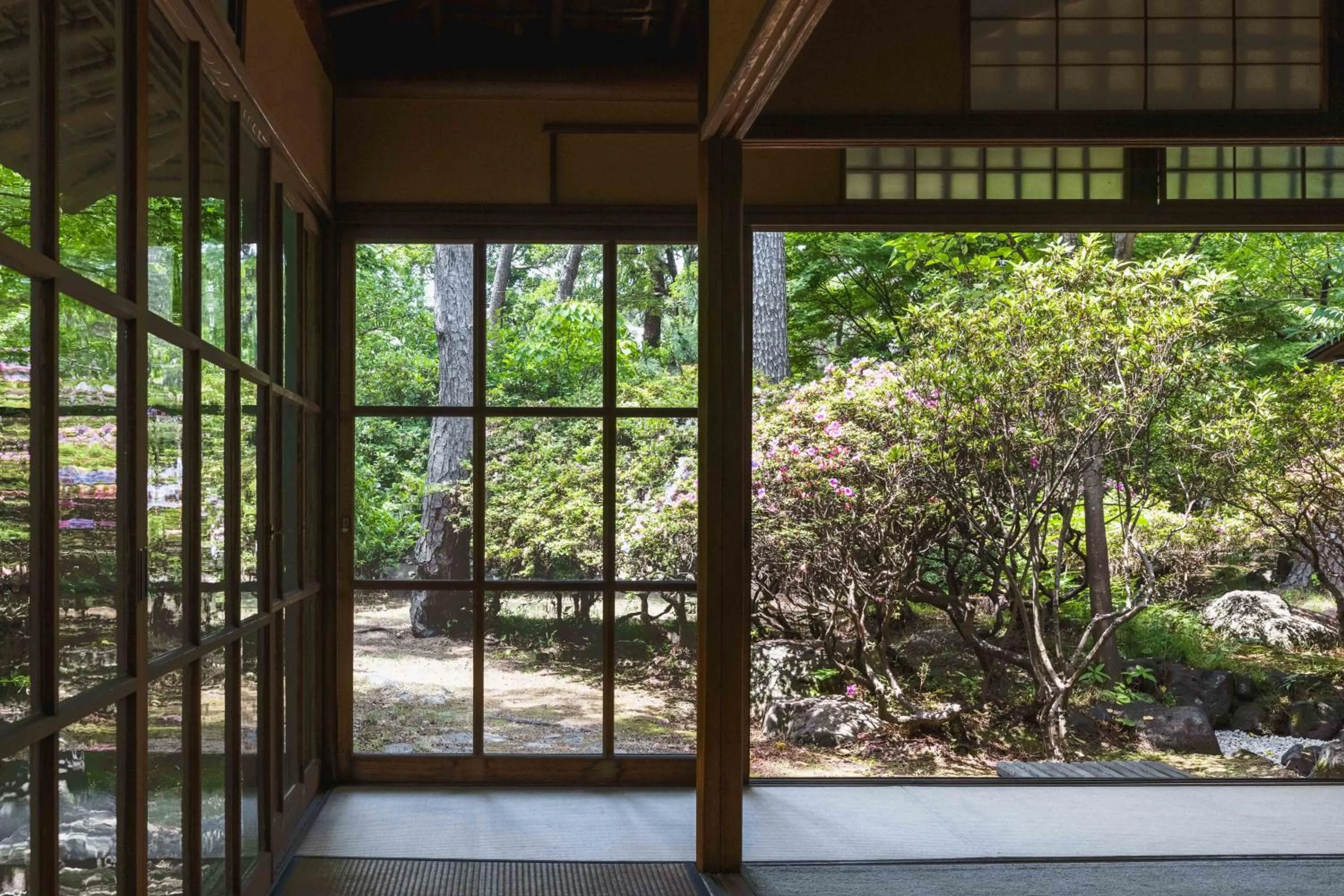 Natural landscape in Numazu Club