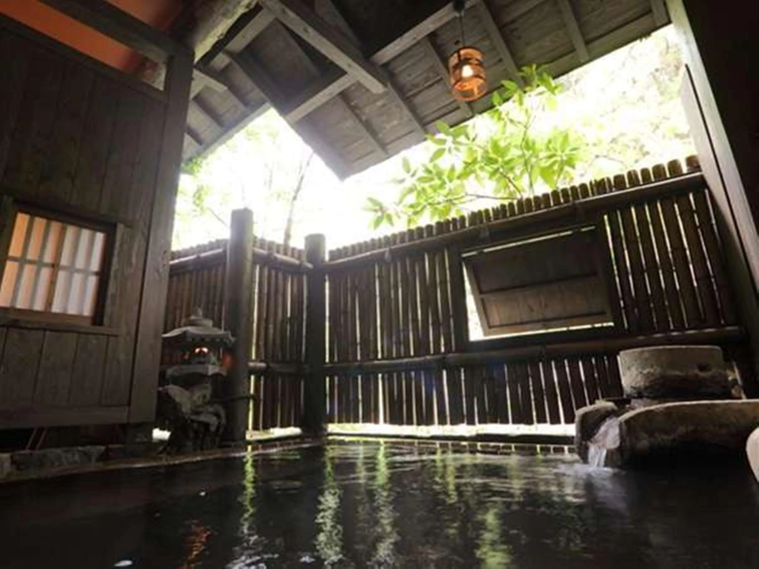 Hot Spring Bath in Fujiya