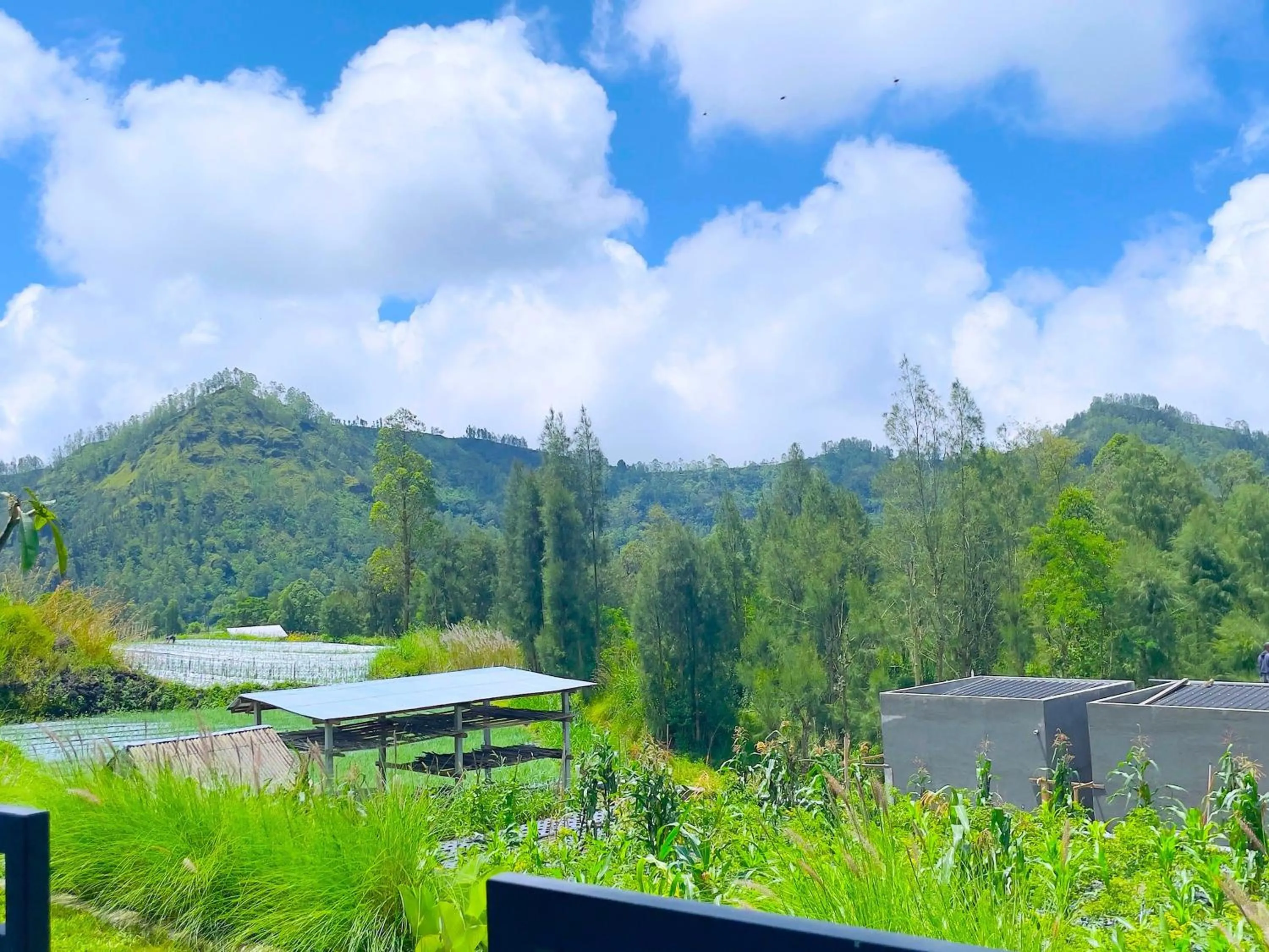 Nearby landmark in The Iris Kintamani