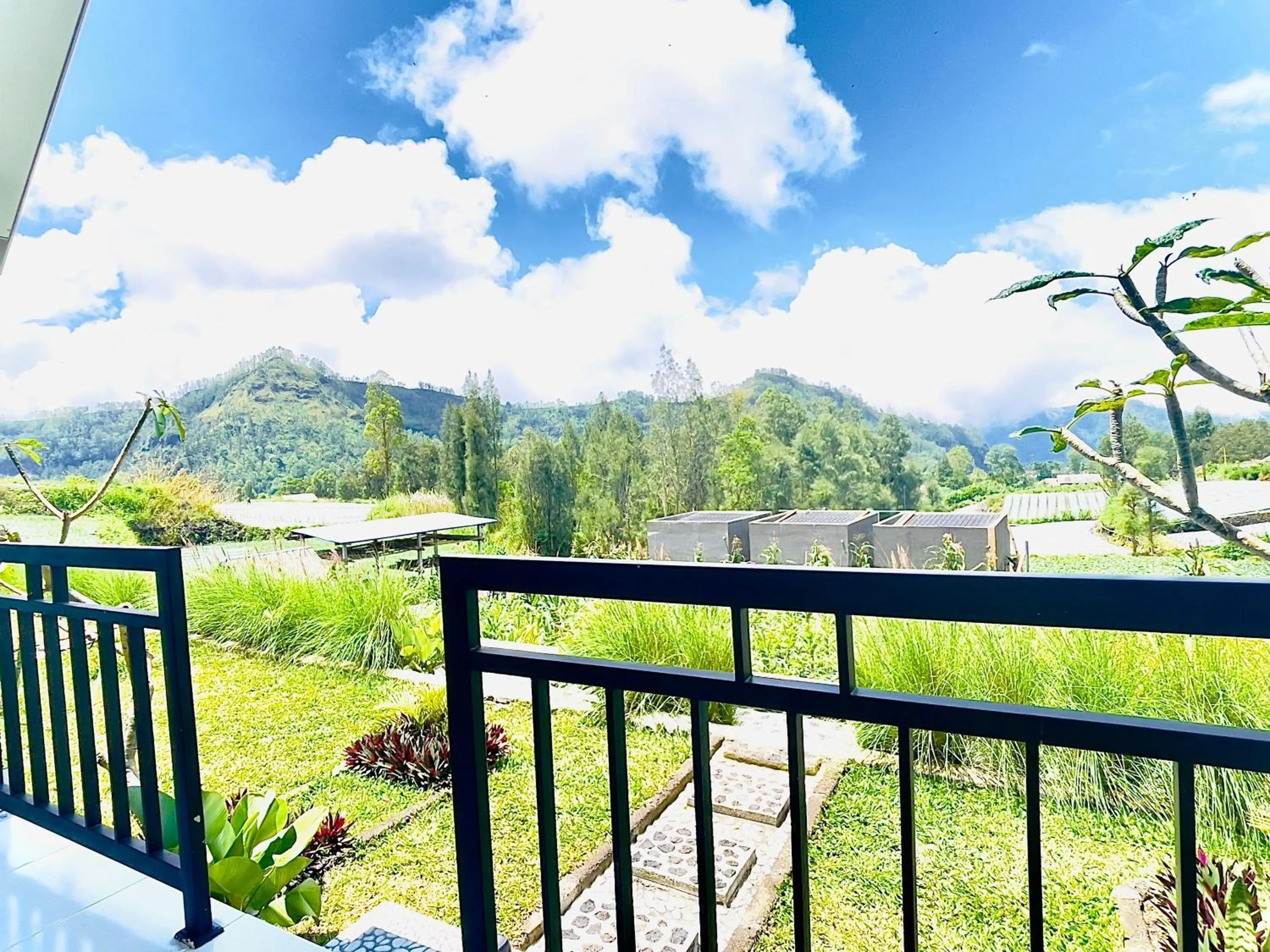 Natural landscape in The Iris Kintamani