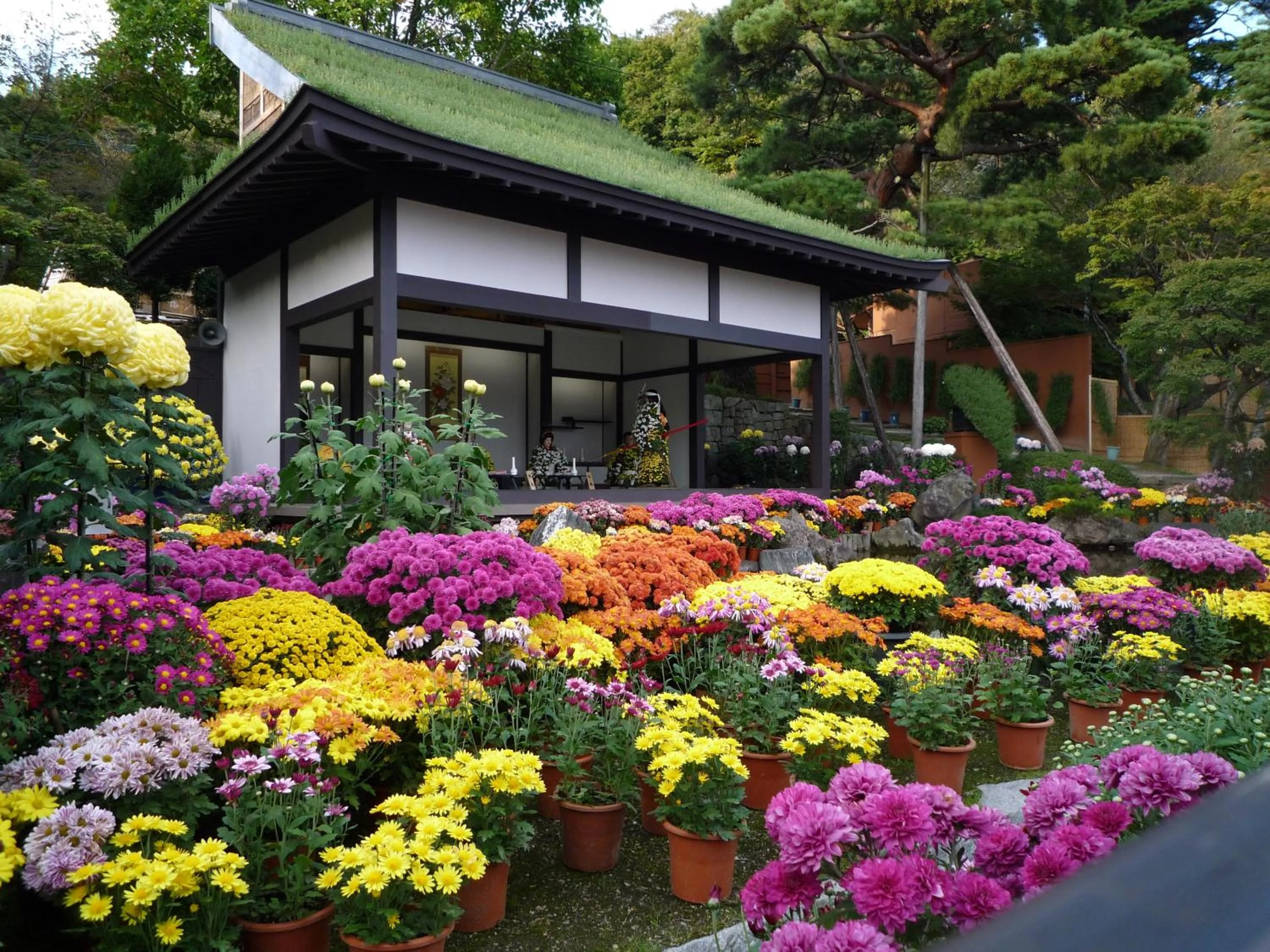 Nearby landmark in Azumakan