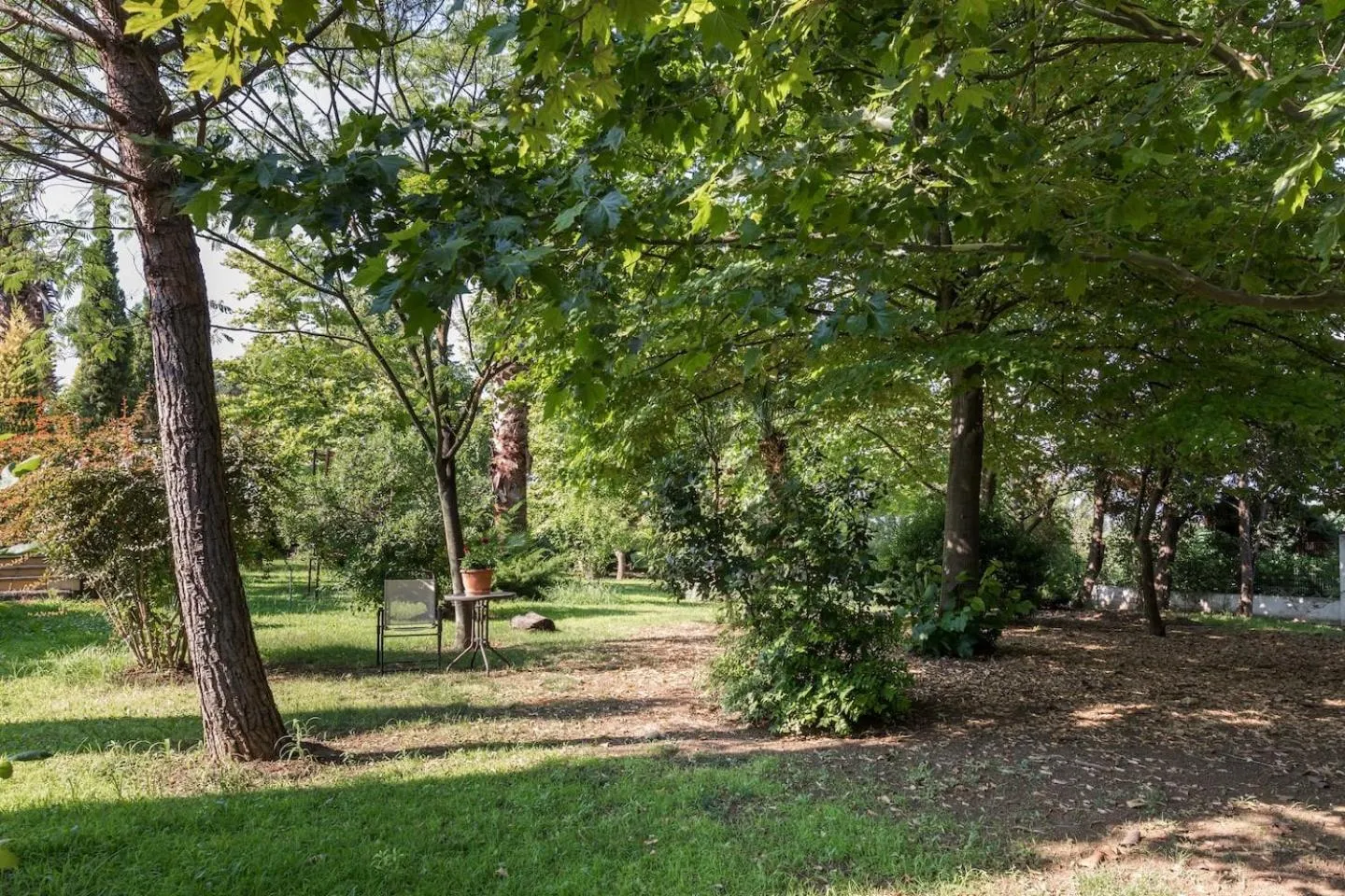 Garden in Villa Elena