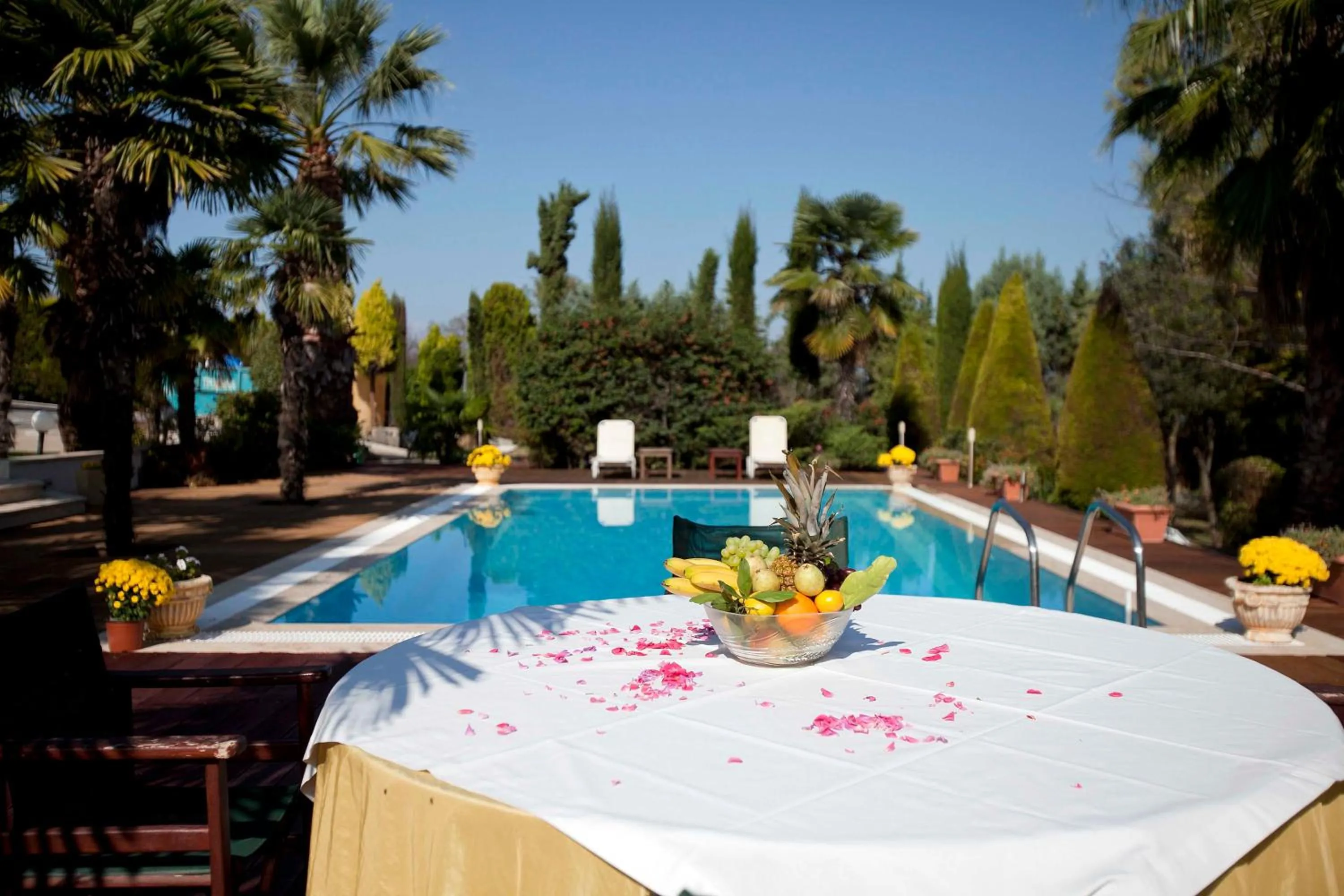 Swimming pool in Villa Elena