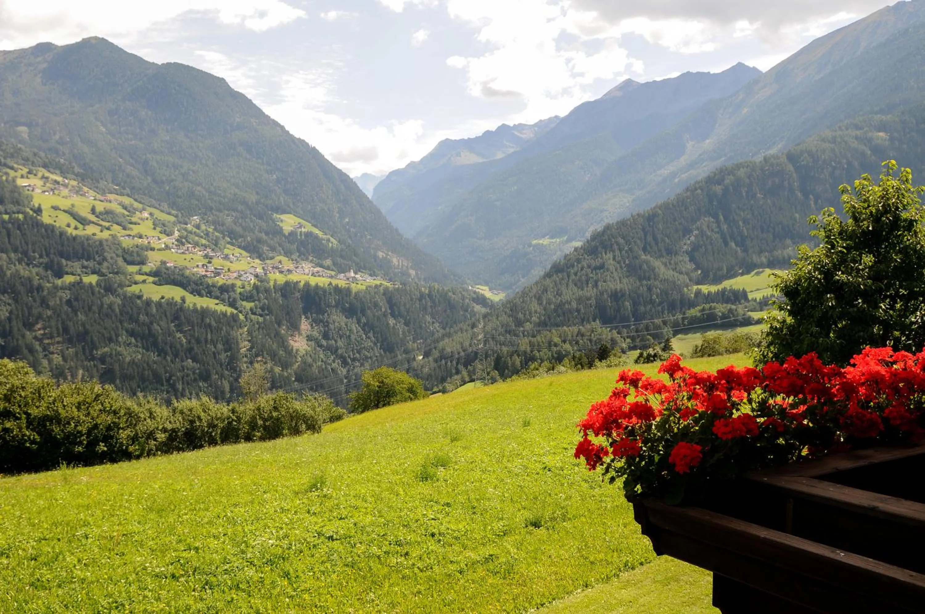 Garden view in Ferienhaus Gundolf Peter