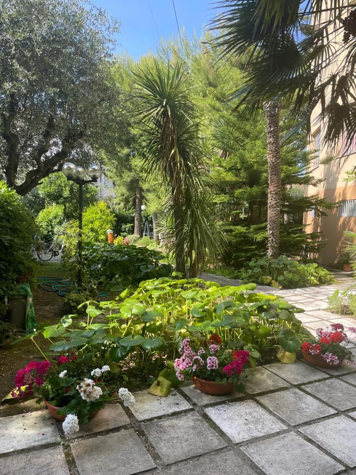 Garden in Hotel La Terrazza