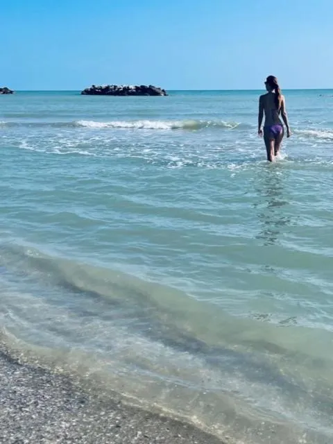 Beach in Hotel La Terrazza