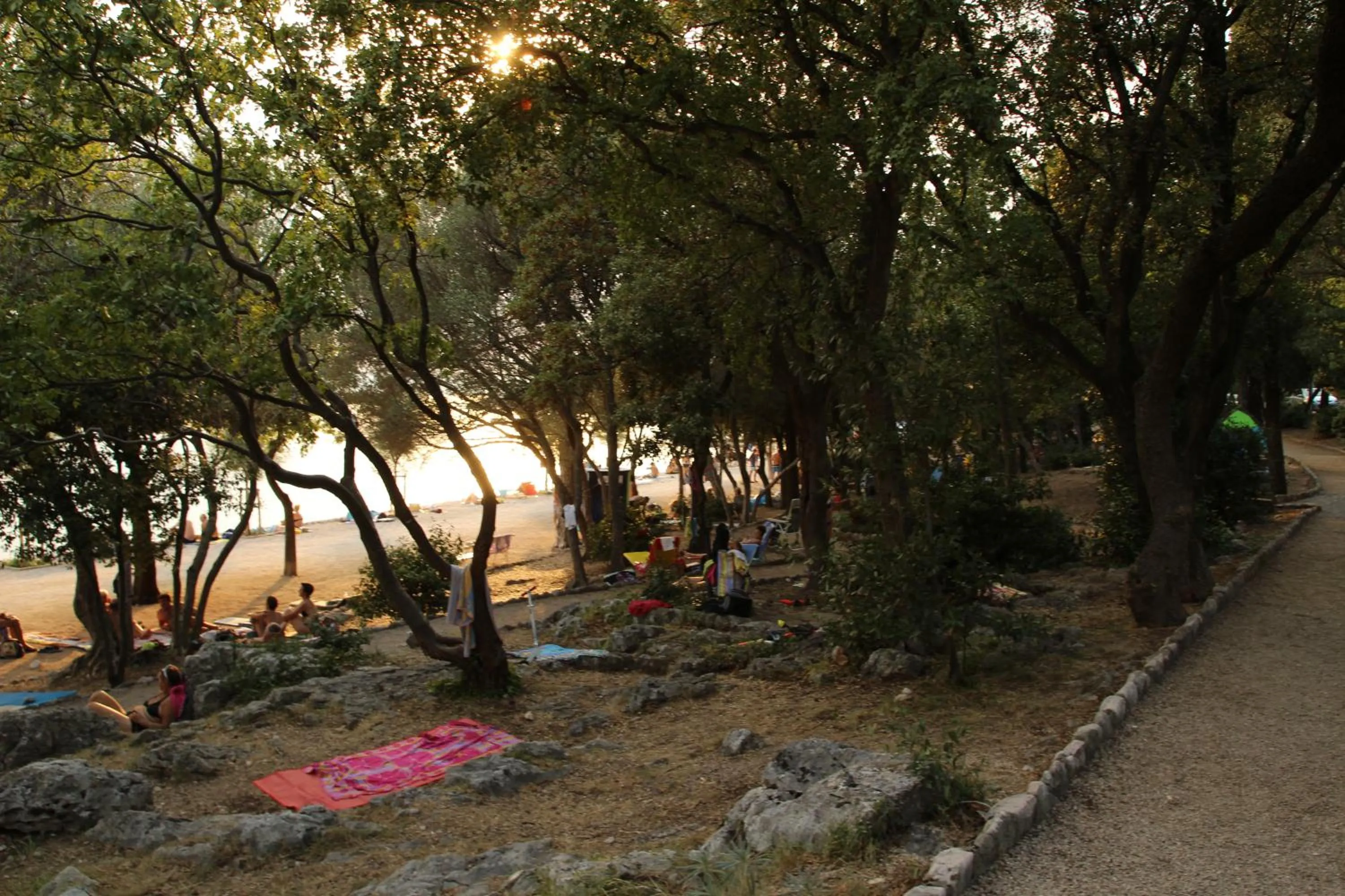 Garden in Pansion Ruža