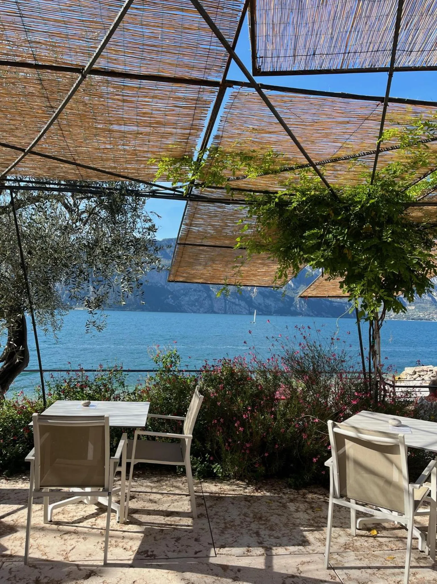 Lounge or bar in Ambienthotel PrimaLuna 3S