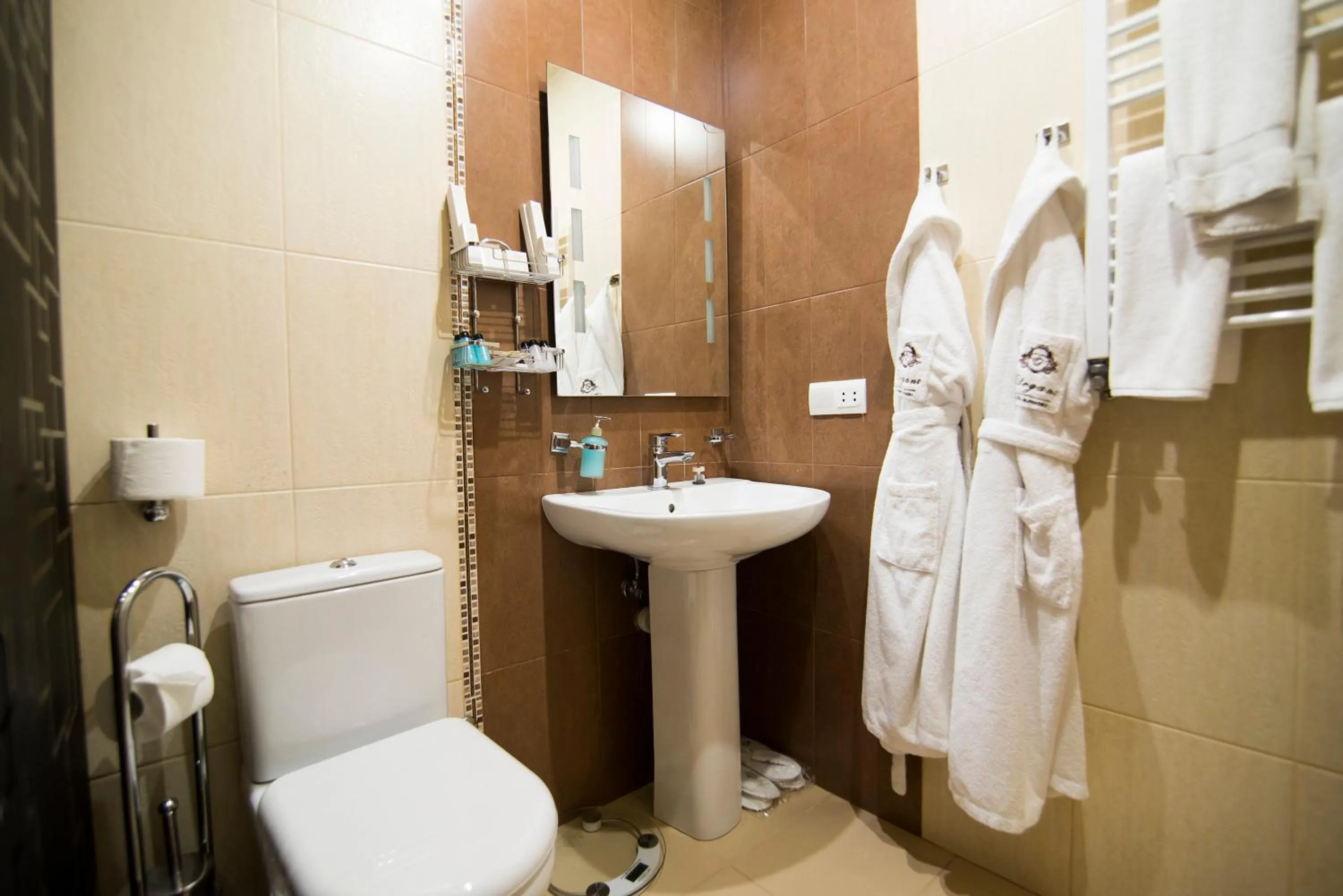 Toilet in Elegant Hotel & Resort