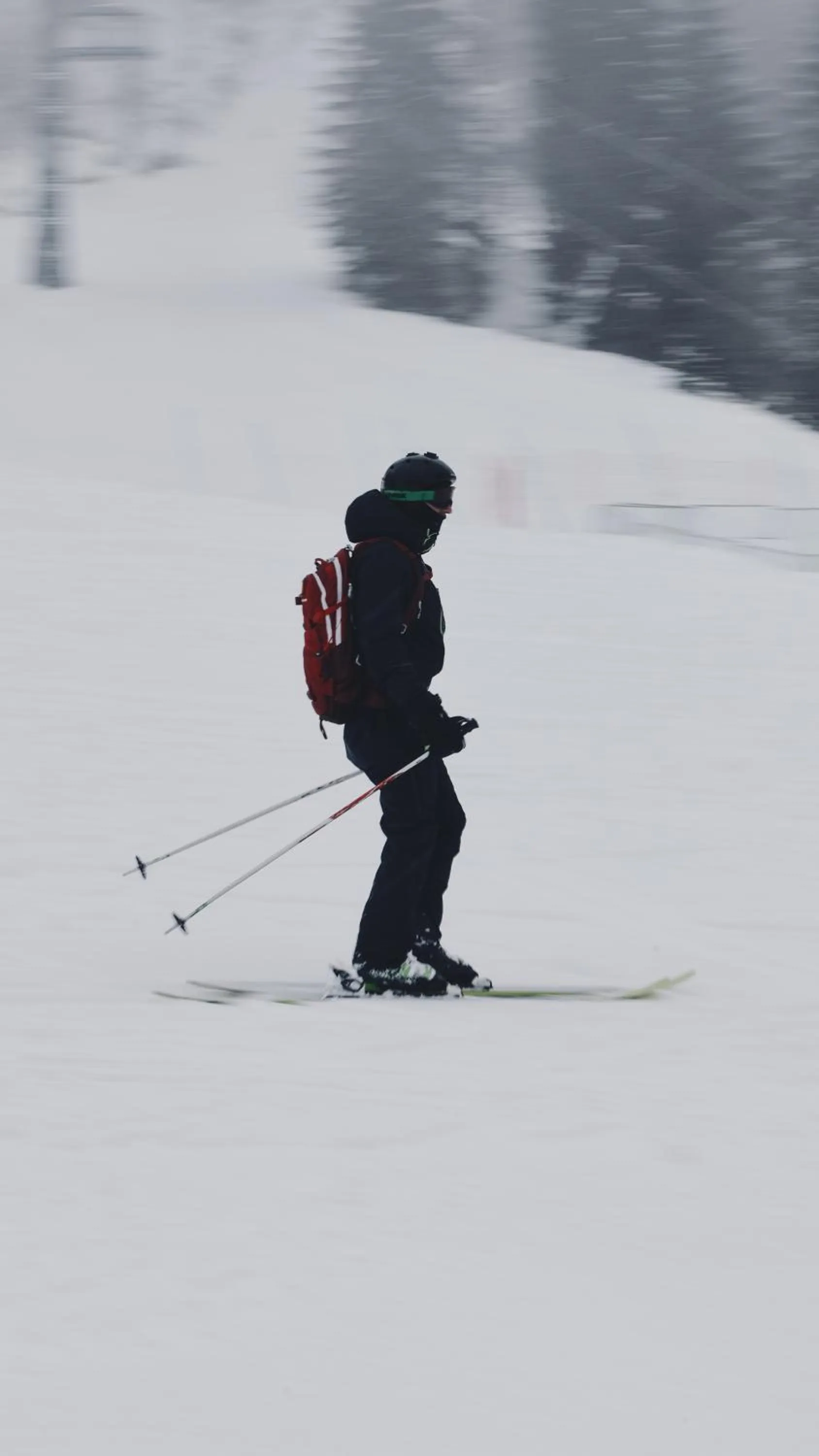 Ski School in Wulfenia Hotel & Spa