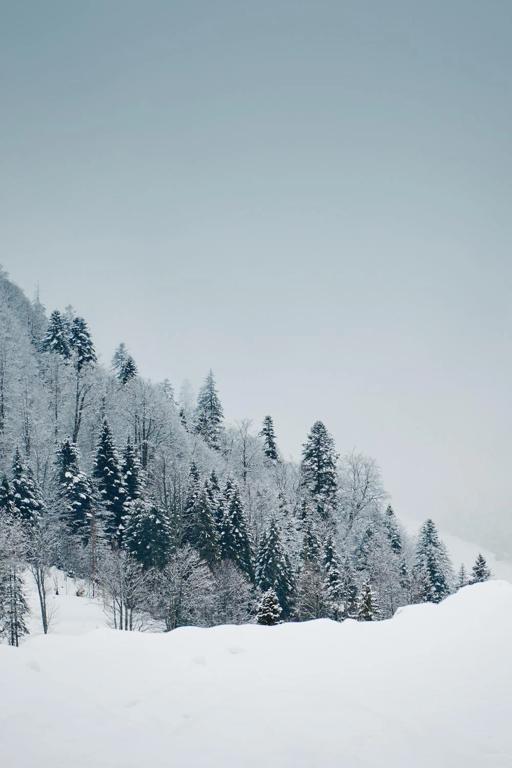 Day in Wulfenia Hotel & Spa