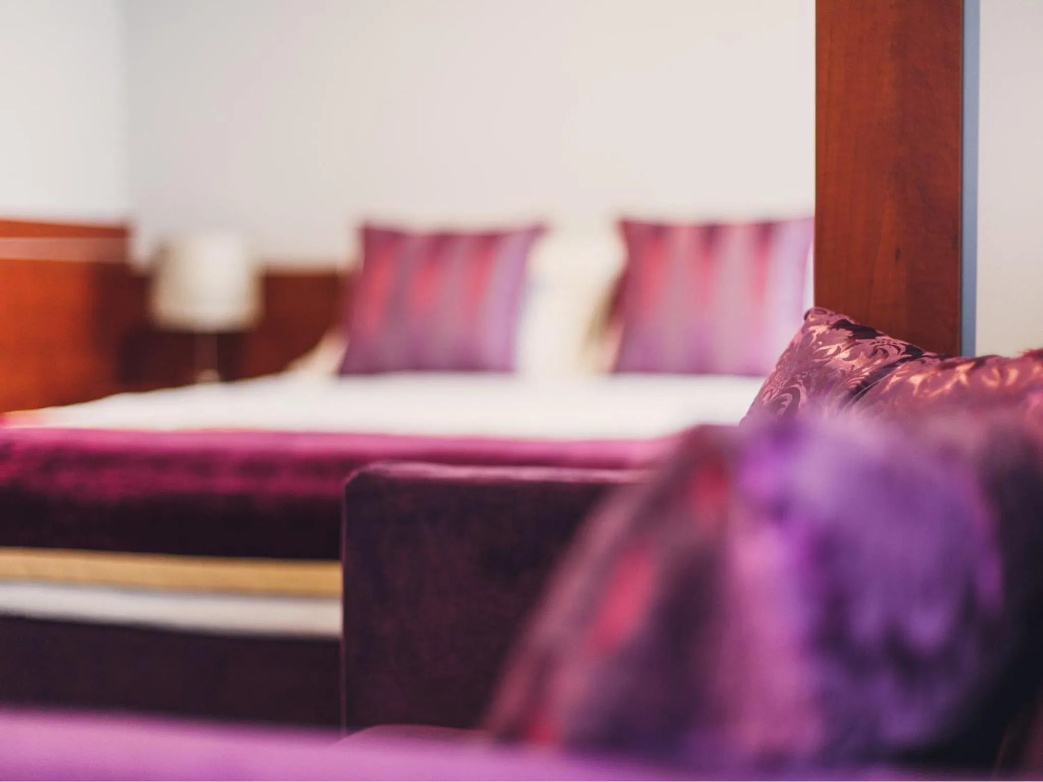 Seating area, Bed in Hotel Chmielna Warsaw