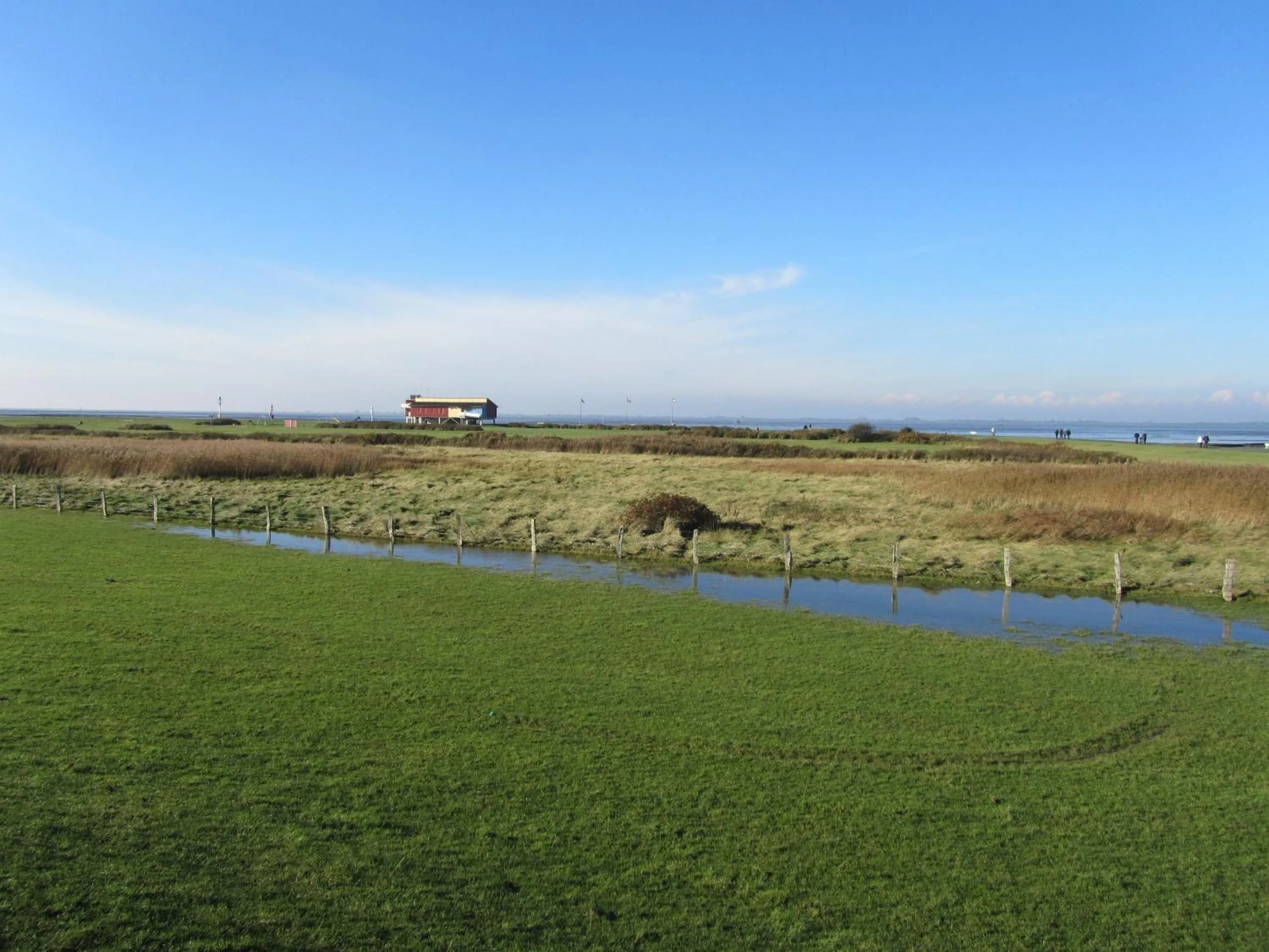 Natural landscape in Ferienwohnung Holt