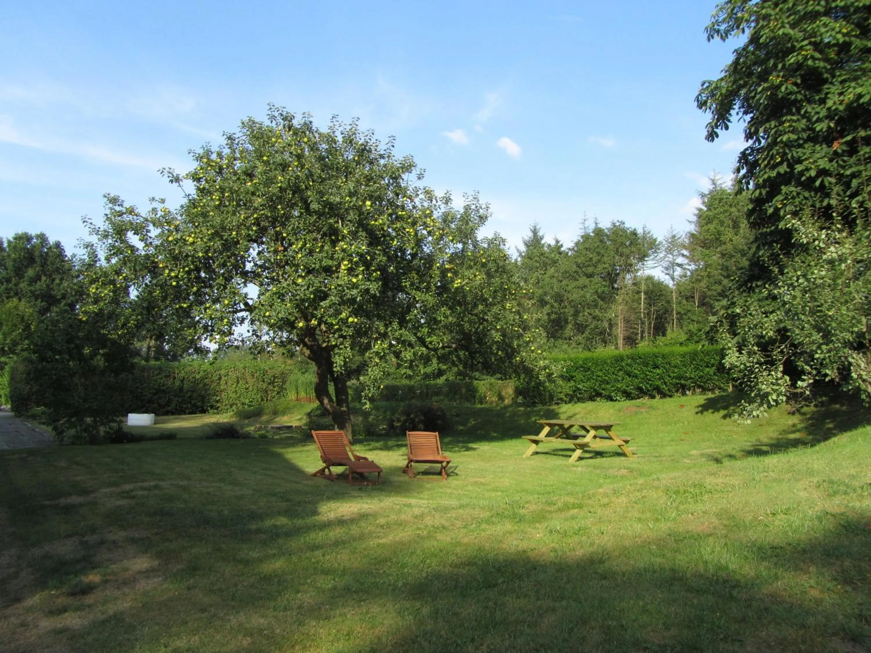 Garden in Ferienwohnung Holt