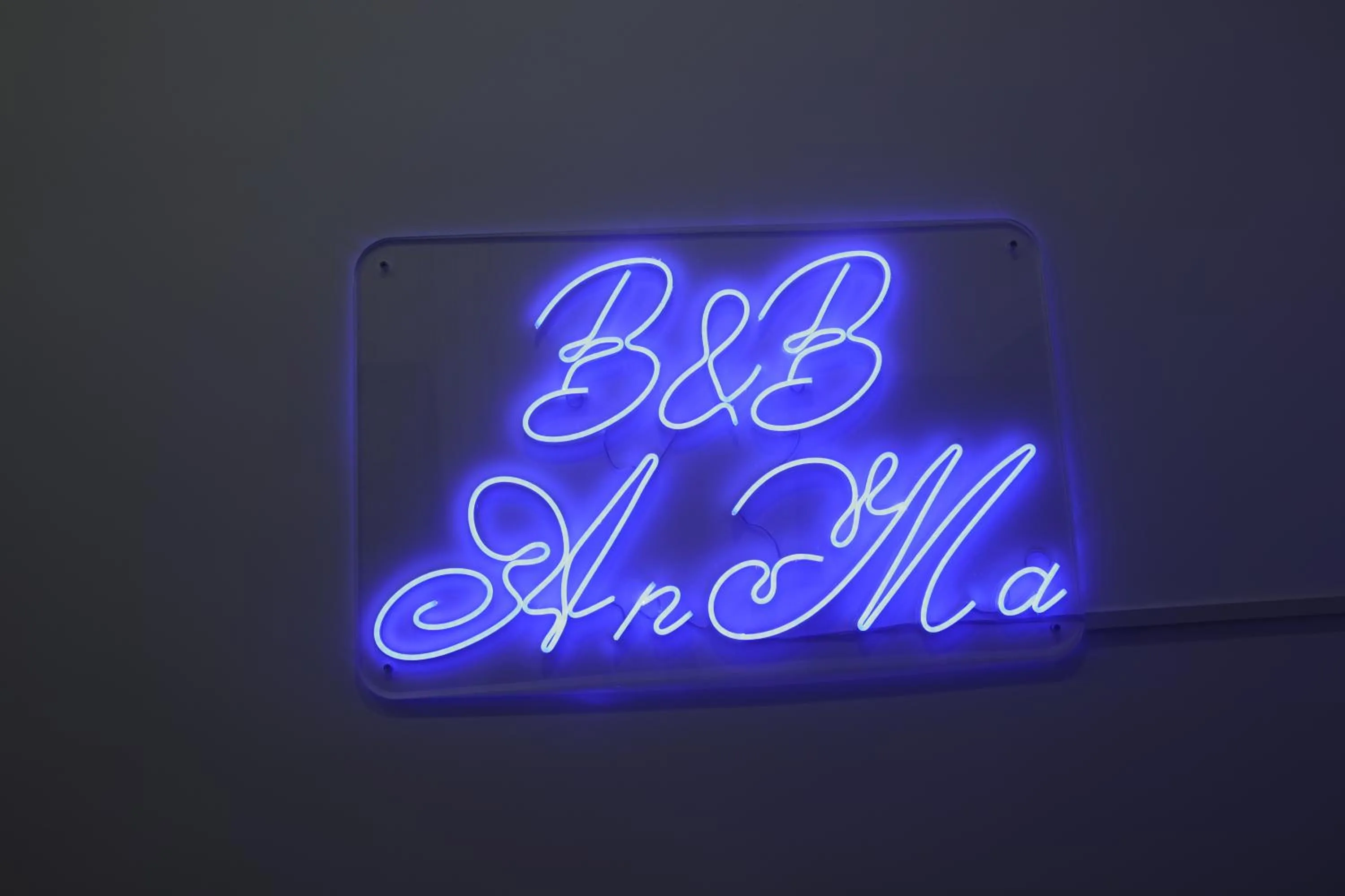B&B AnMa