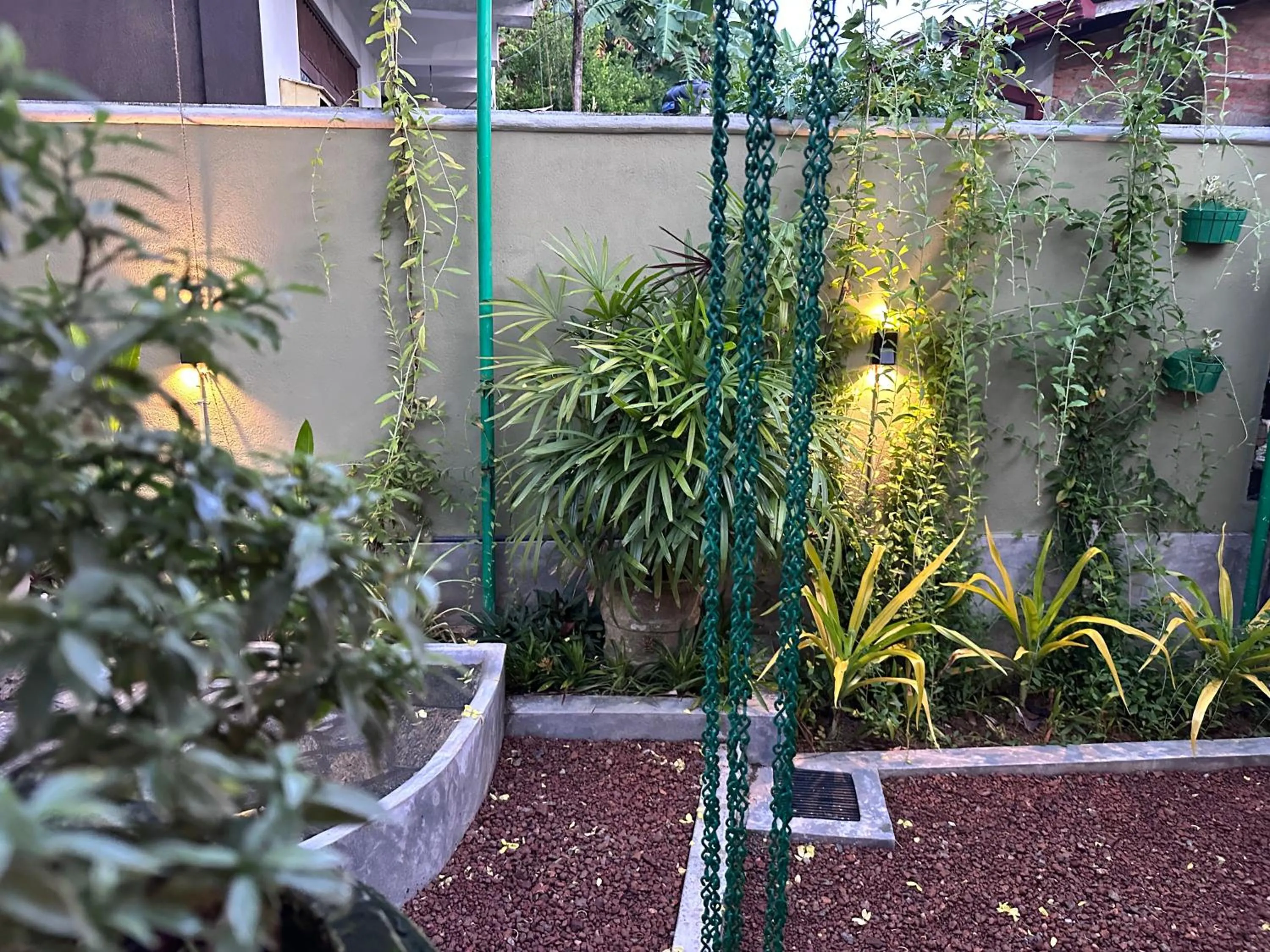 Garden in The Vitamin Sea