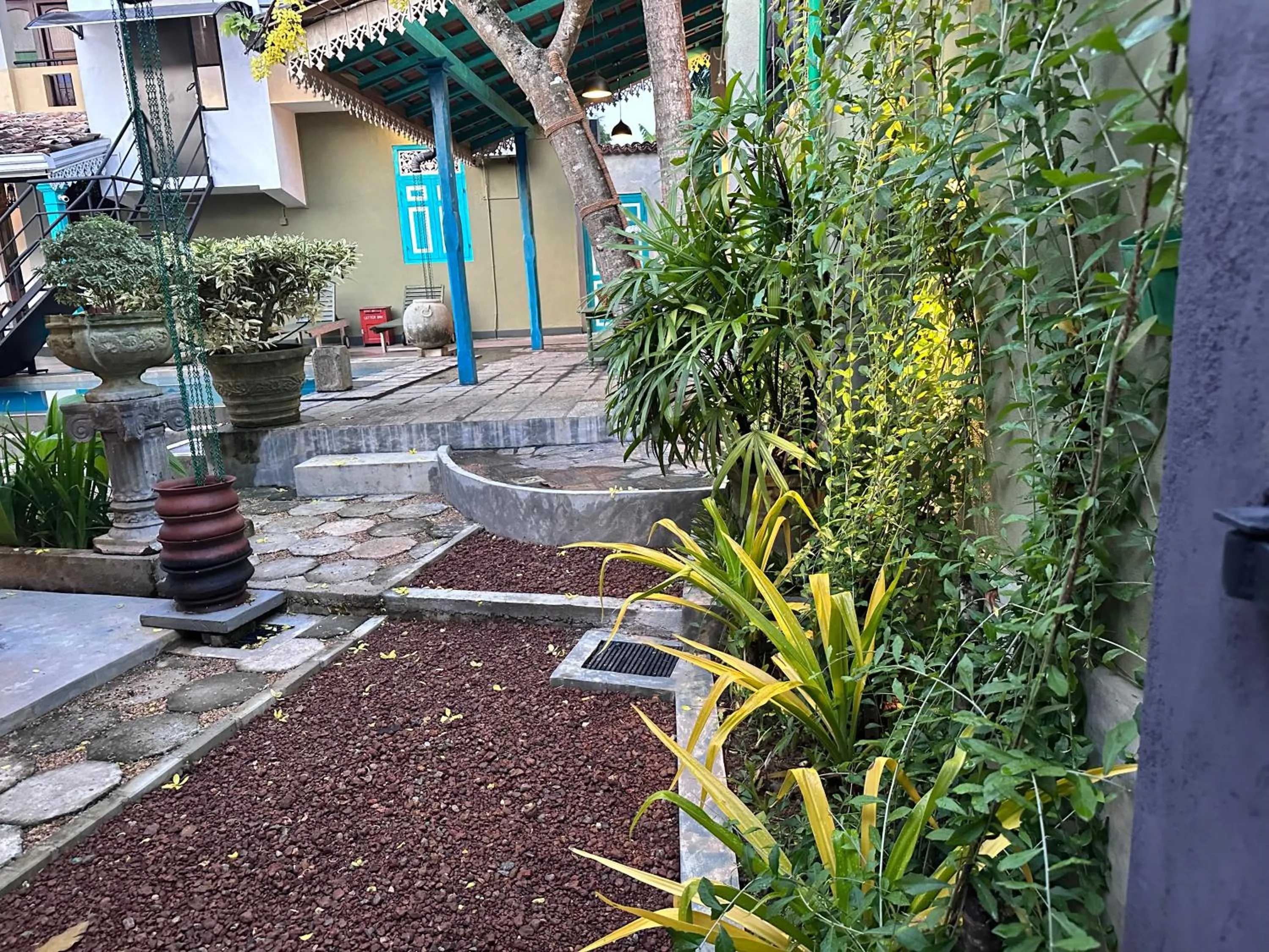 Garden in The Vitamin Sea