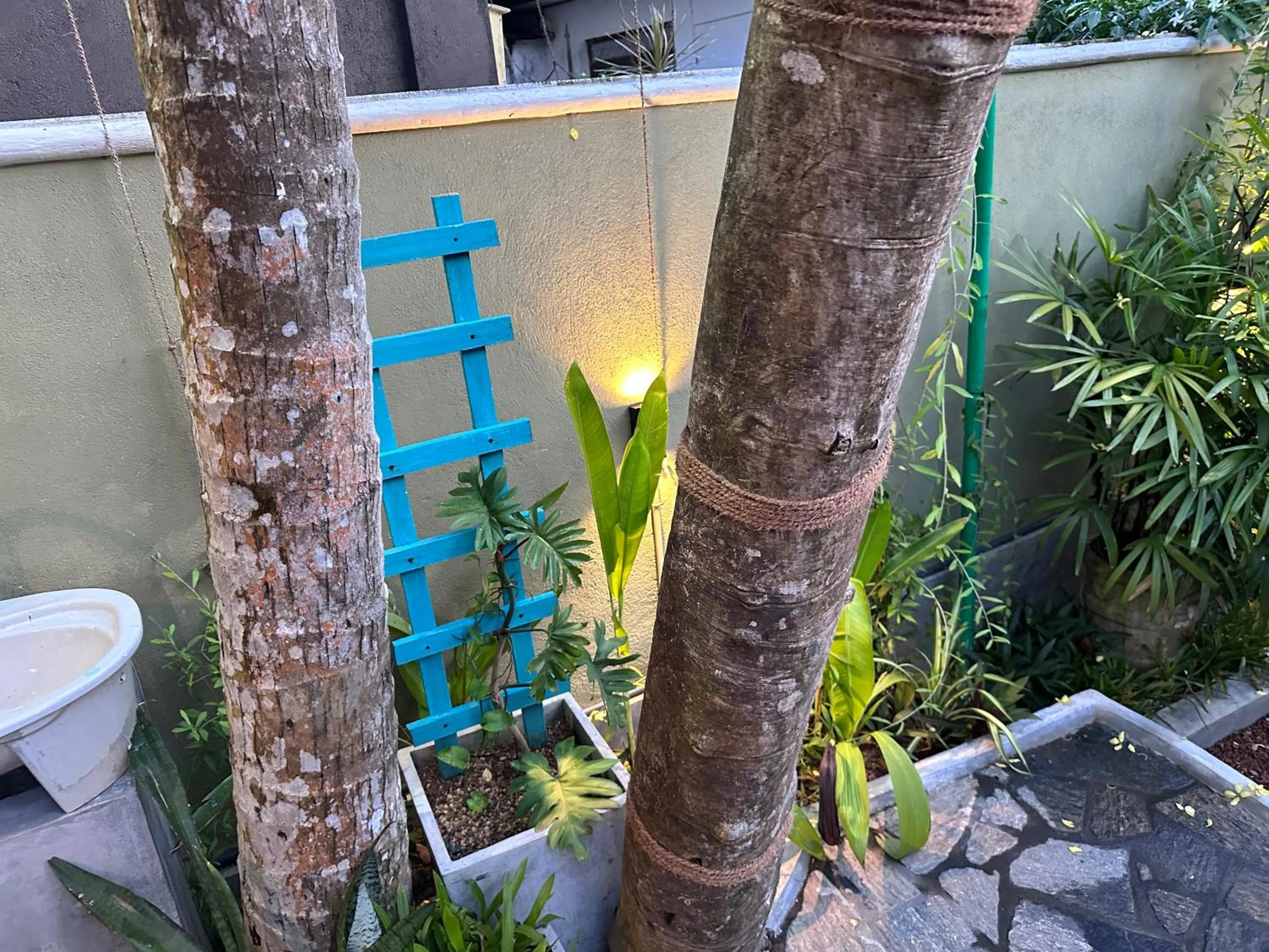 Garden in The Vitamin Sea