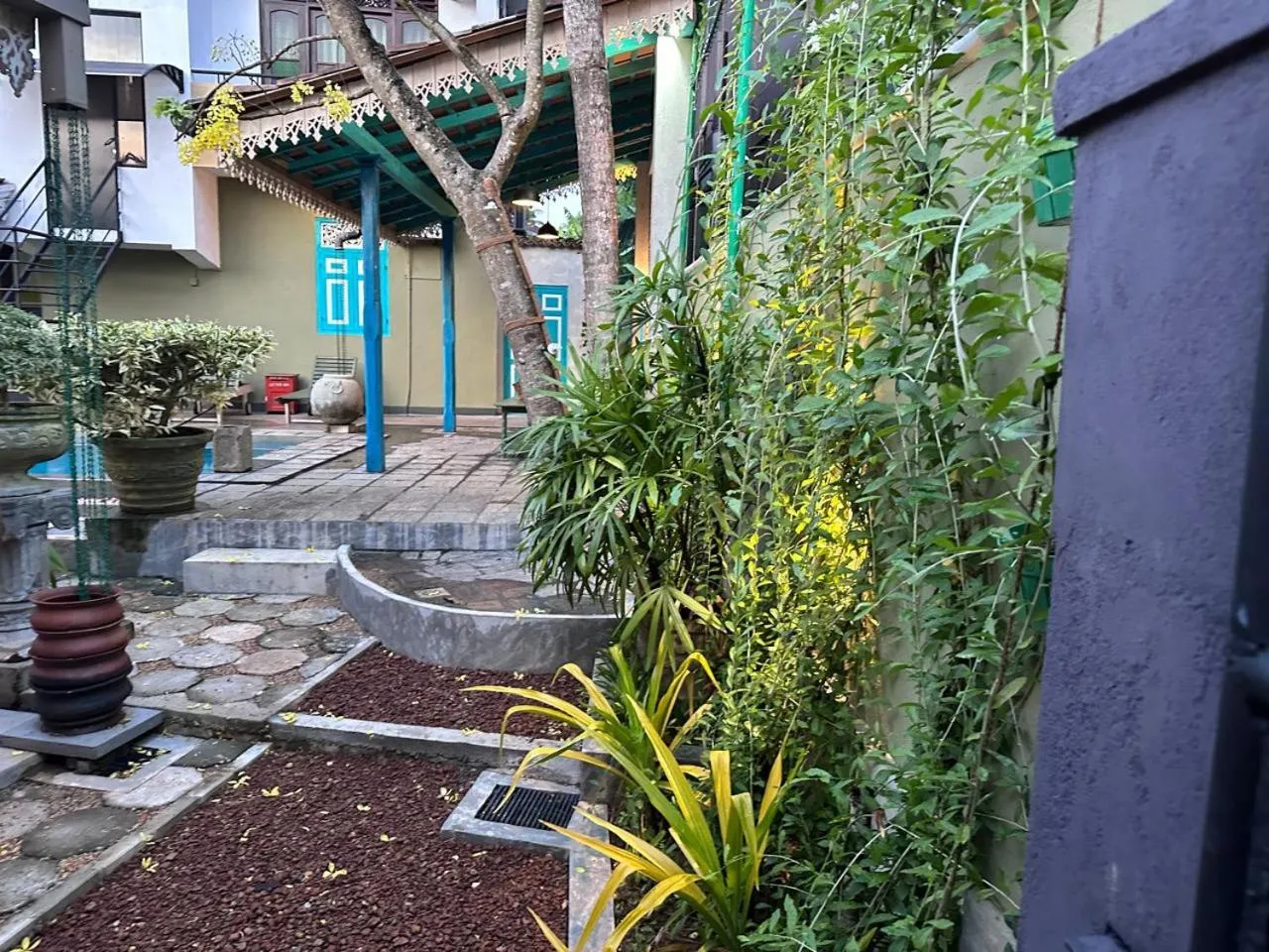 Garden in The Vitamin Sea