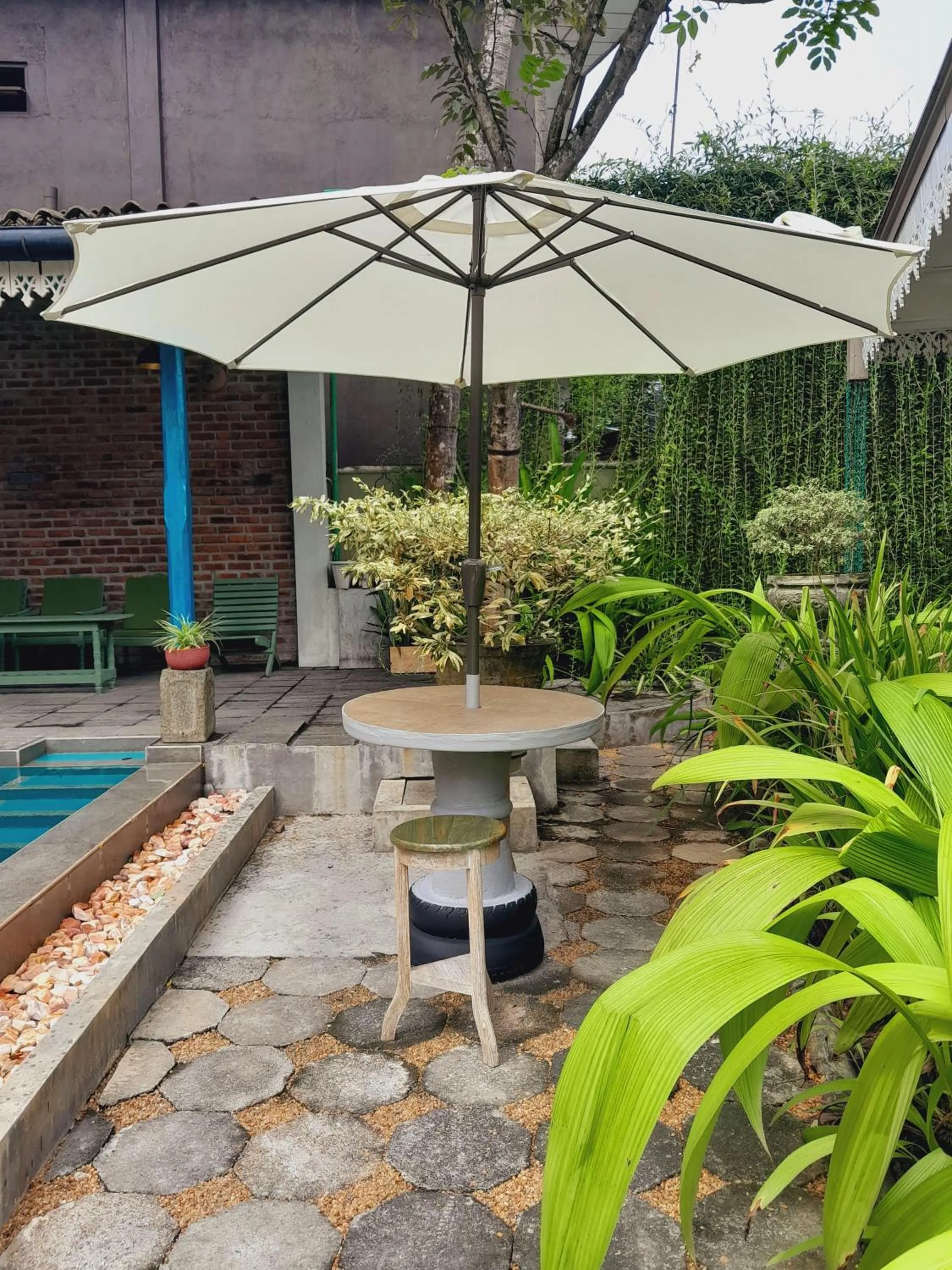 Garden in The Vitamin Sea