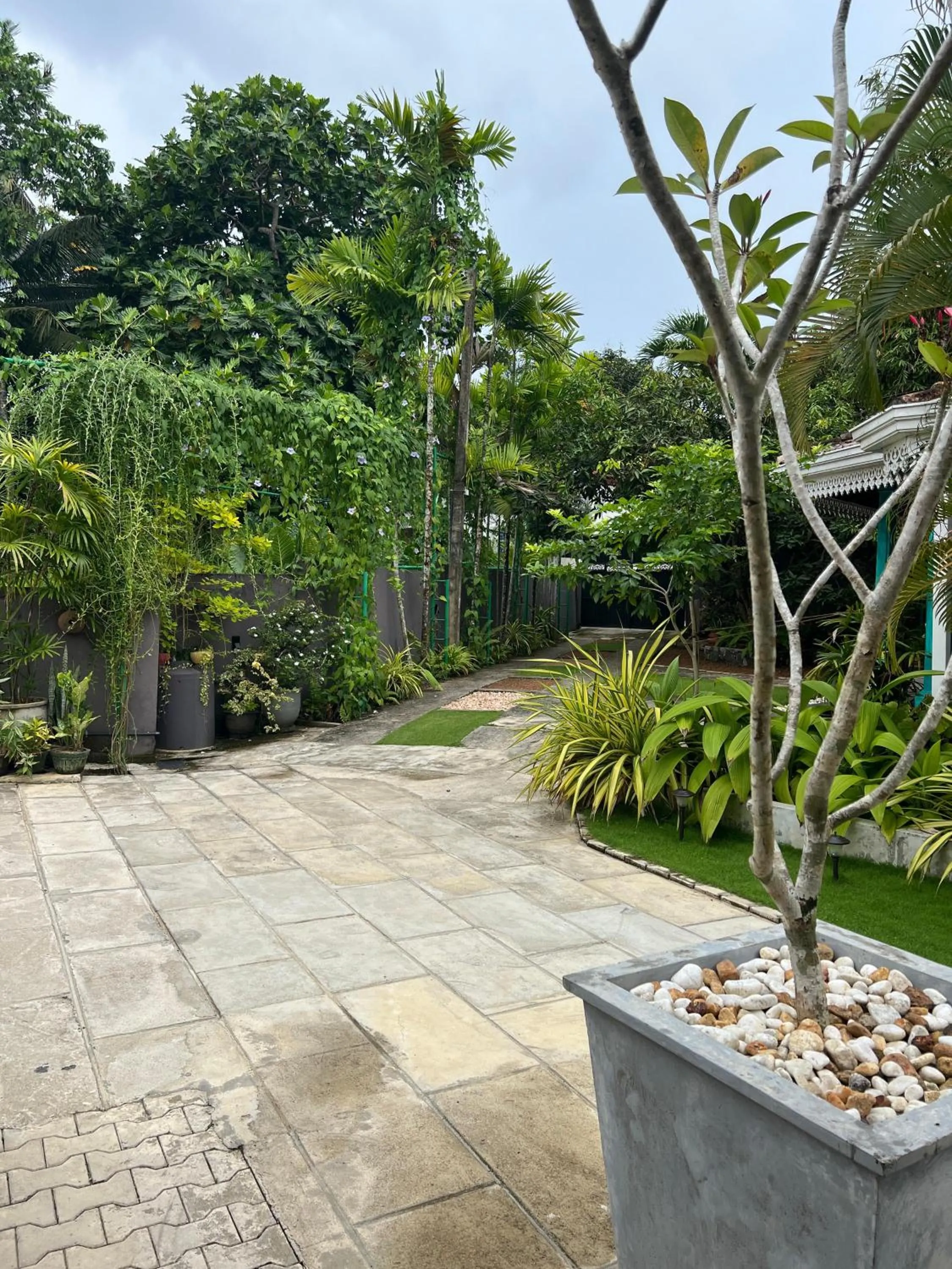 Garden in The Vitamin Sea