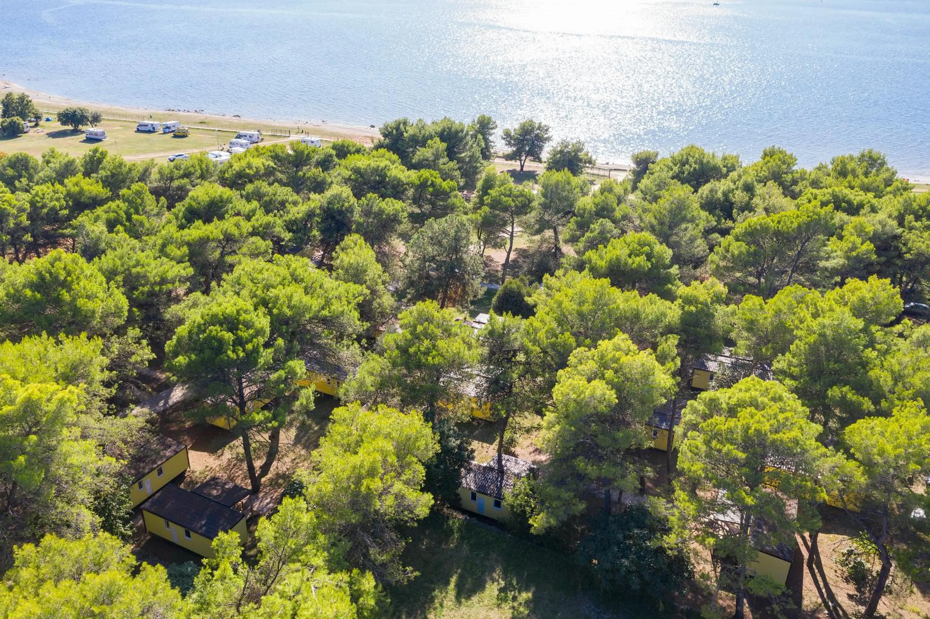 Natural landscape in Mobile Homes Camp Pineta - Adriatic Kampovi