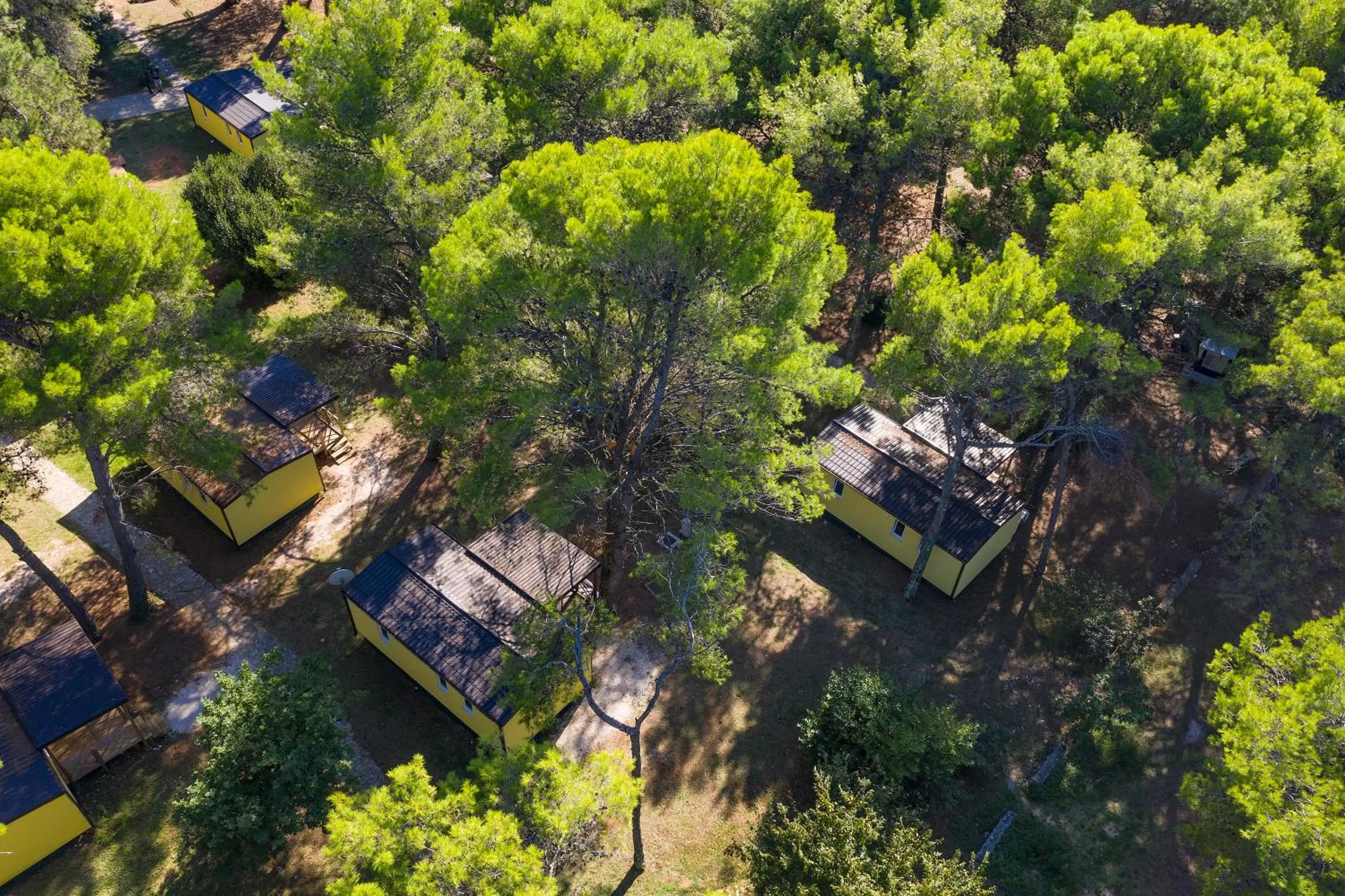 Natural landscape in Mobile Homes Camp Pineta - Adriatic Kampovi